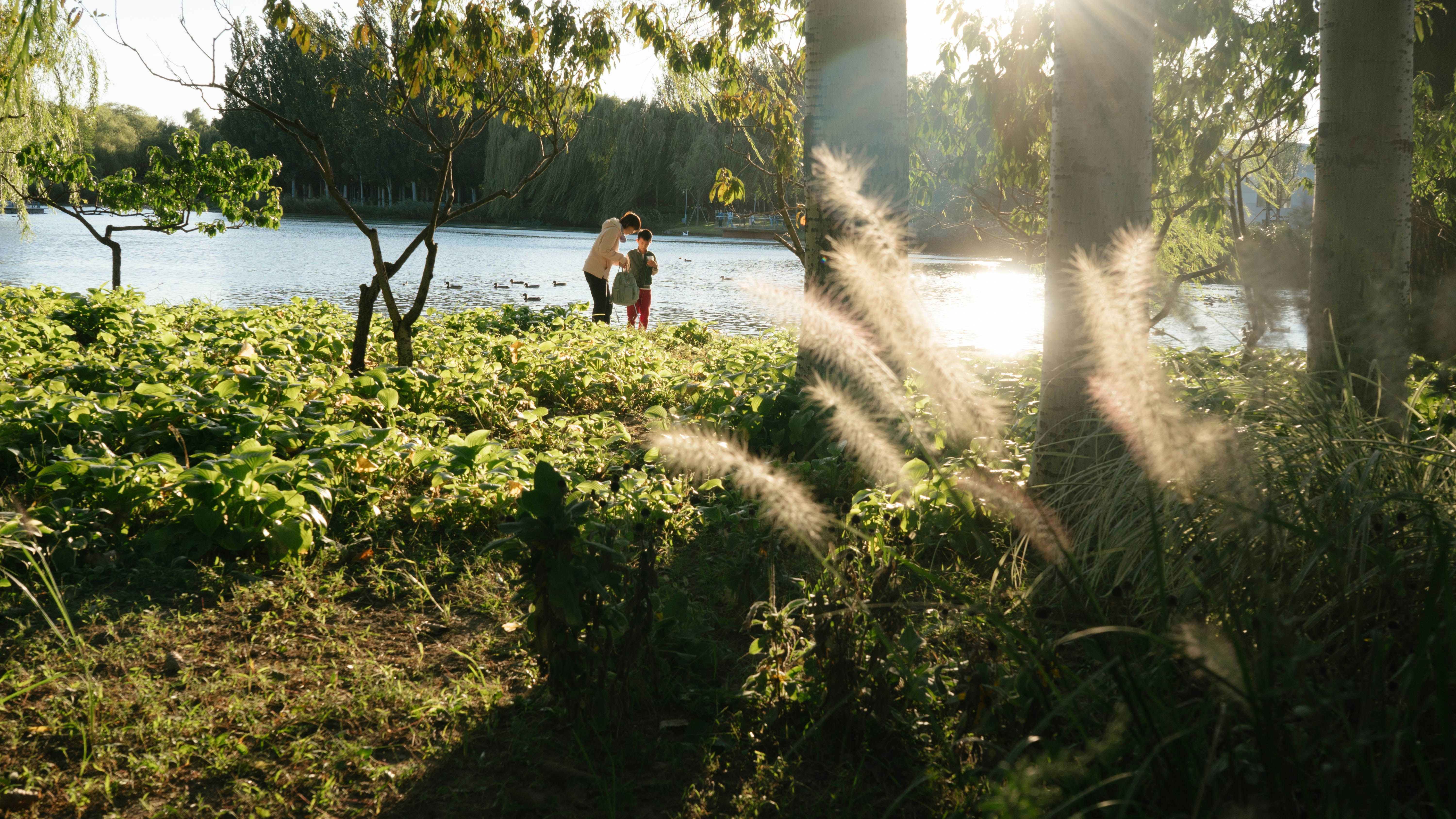 A couple of people standing next to a lake