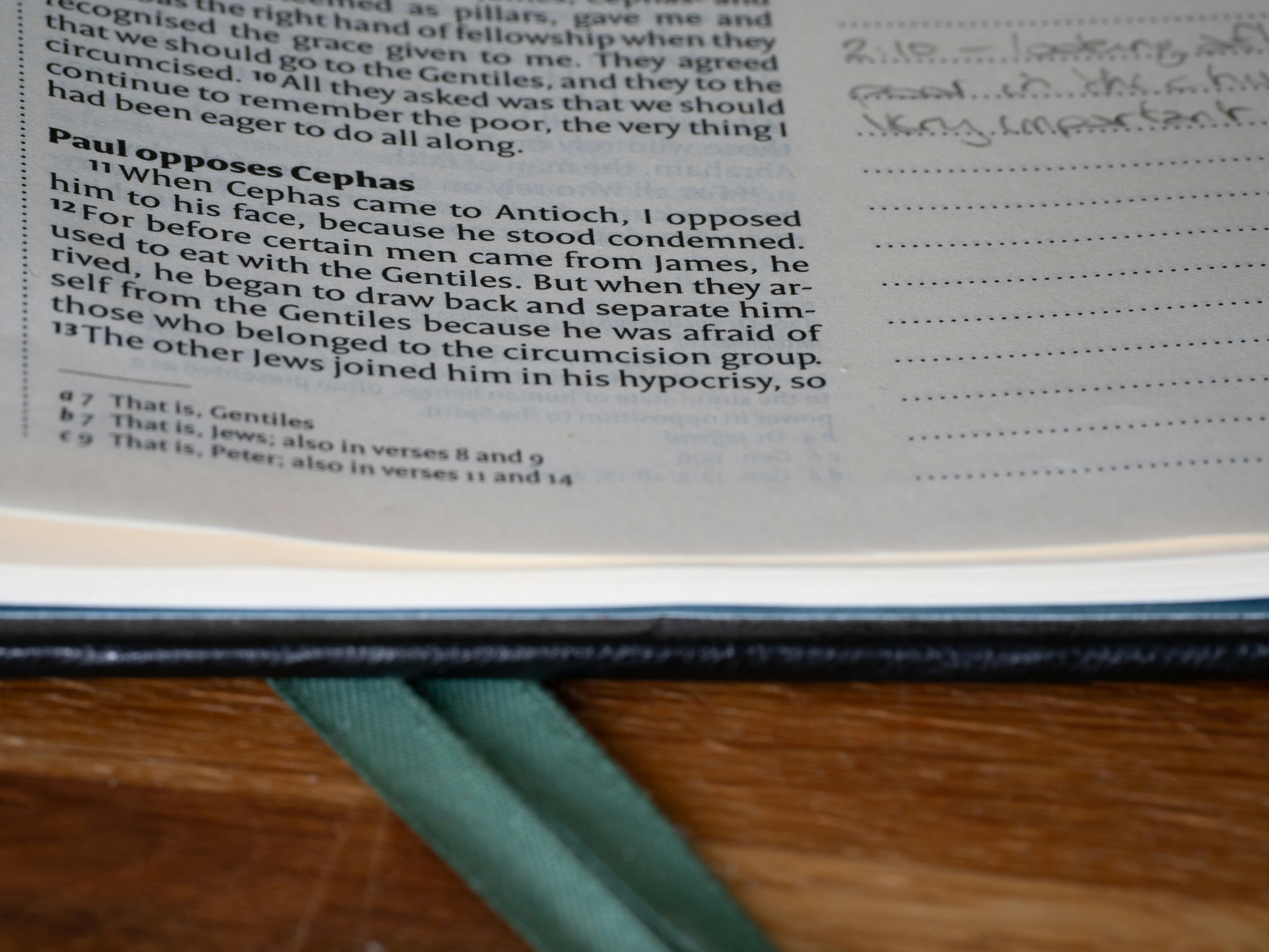 Photo by brett_jordan