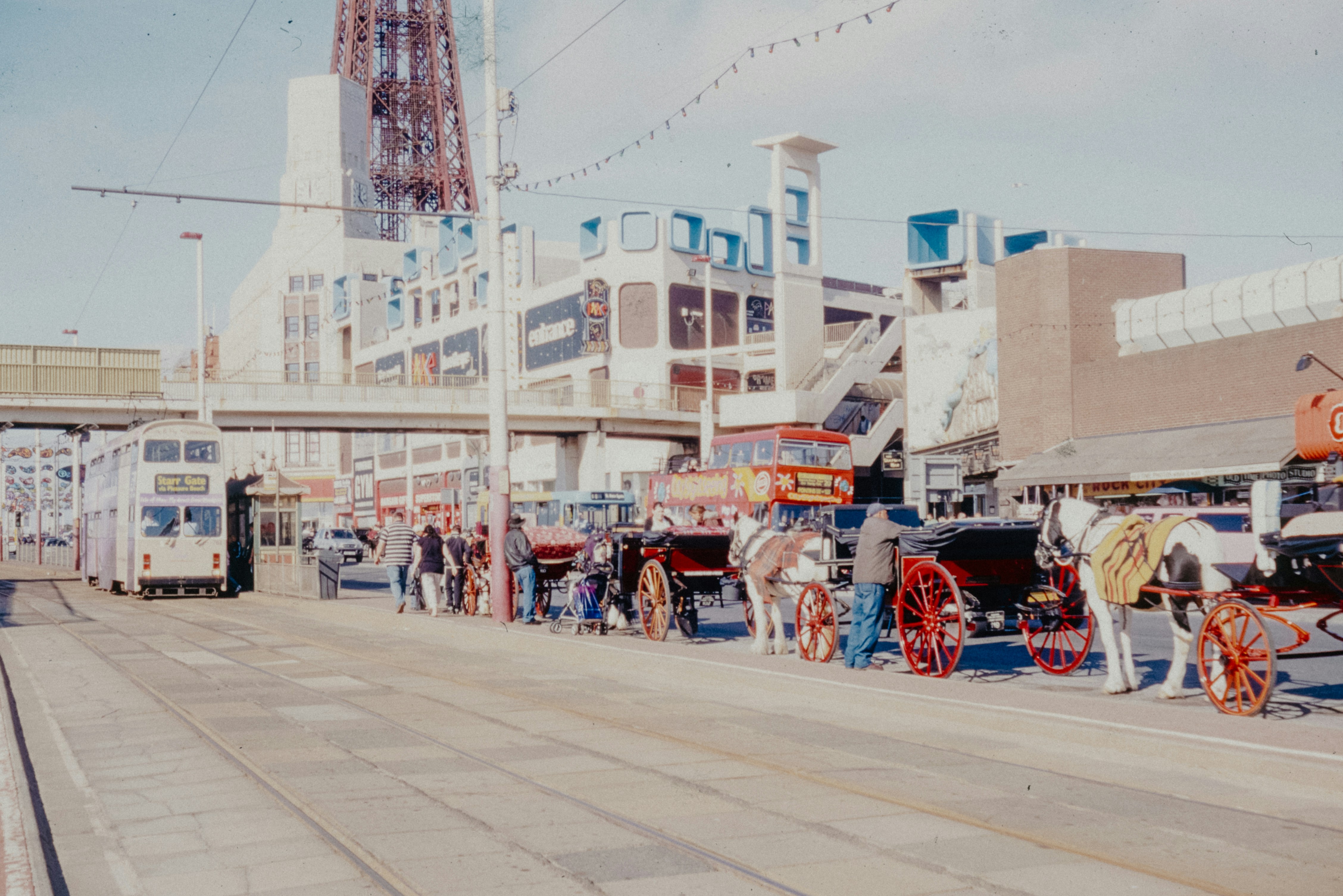 Photo by anniespratt