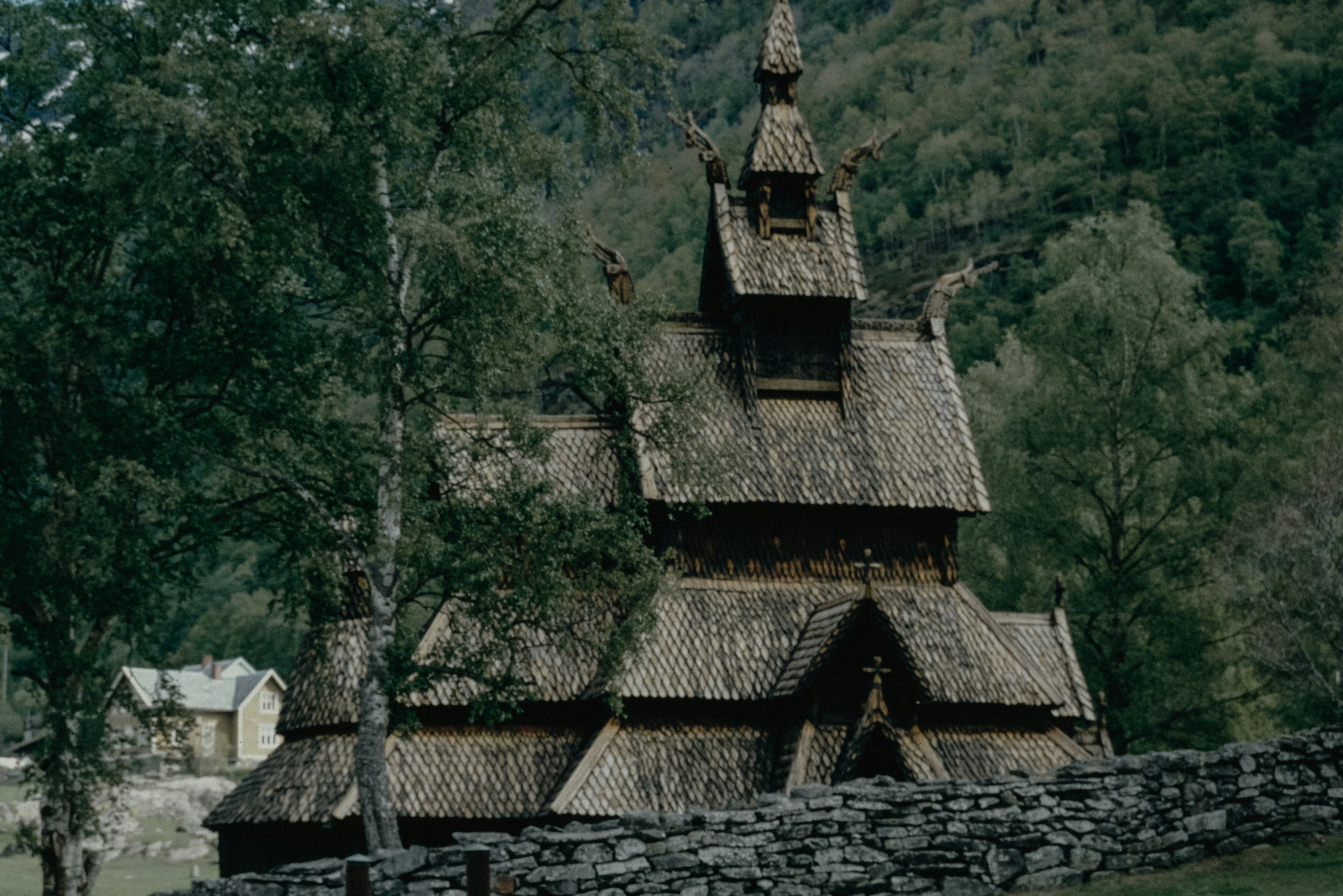 A building with a thatched roof in a forest