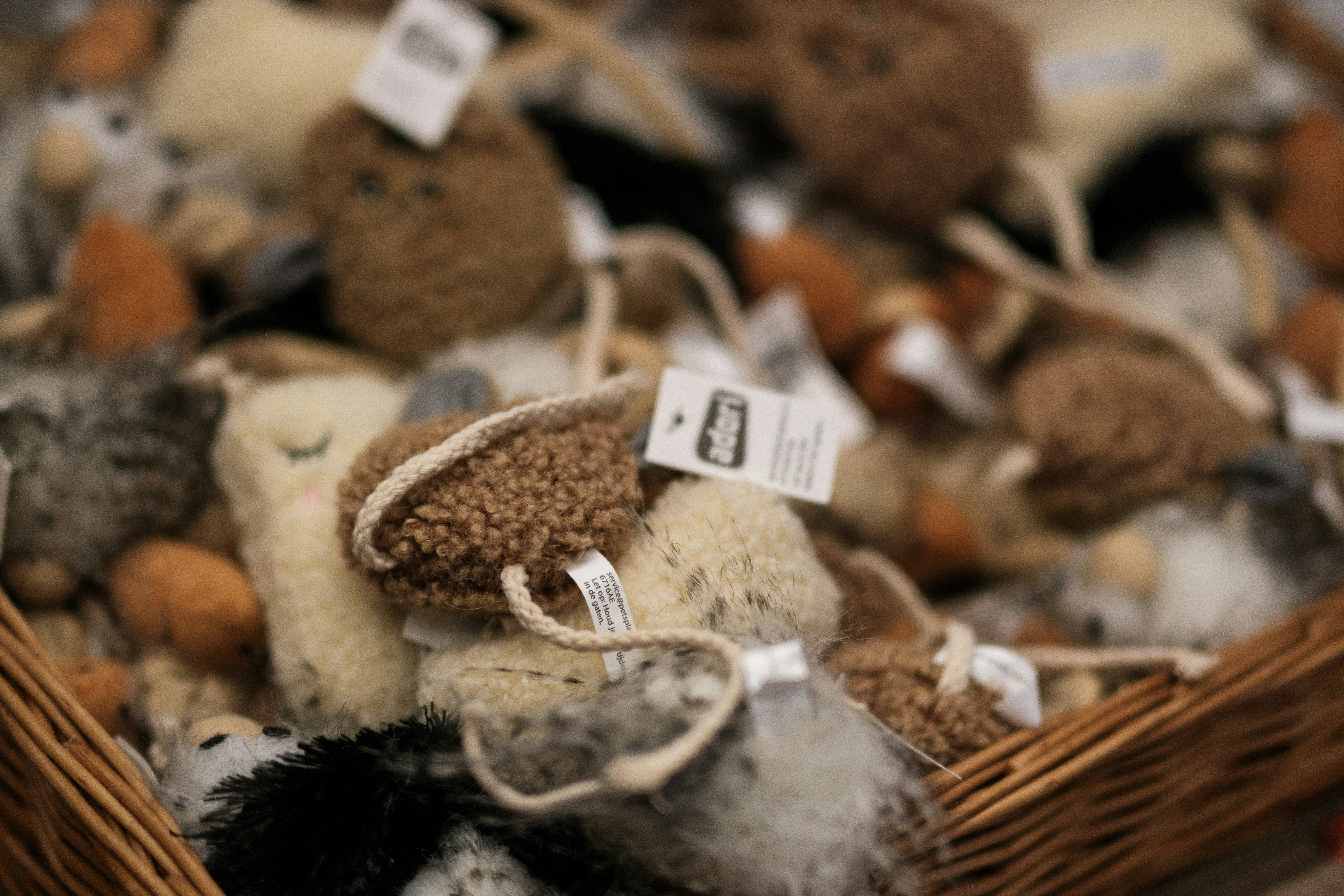 Photo by haberdoedas