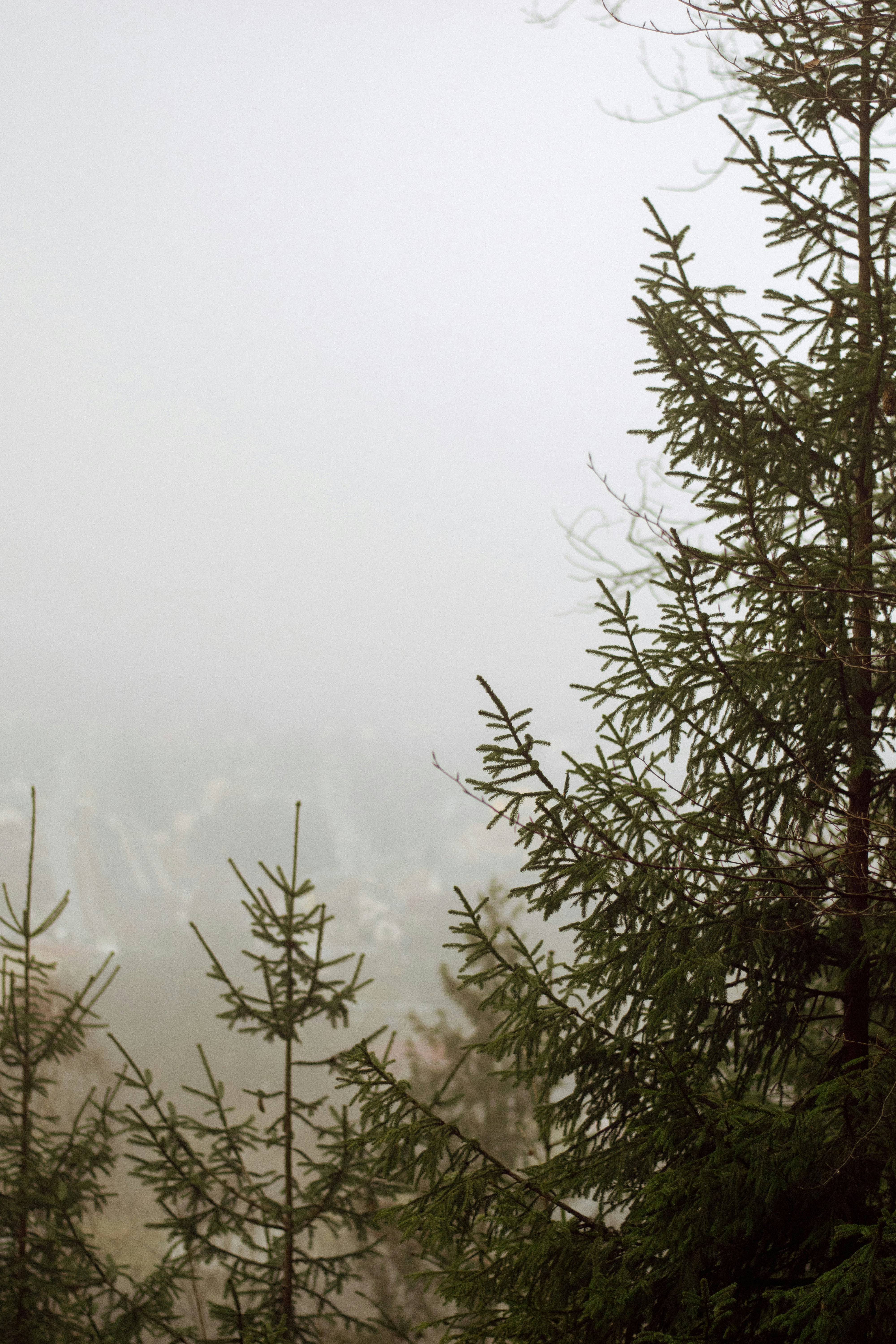 Photo by karynaviktori