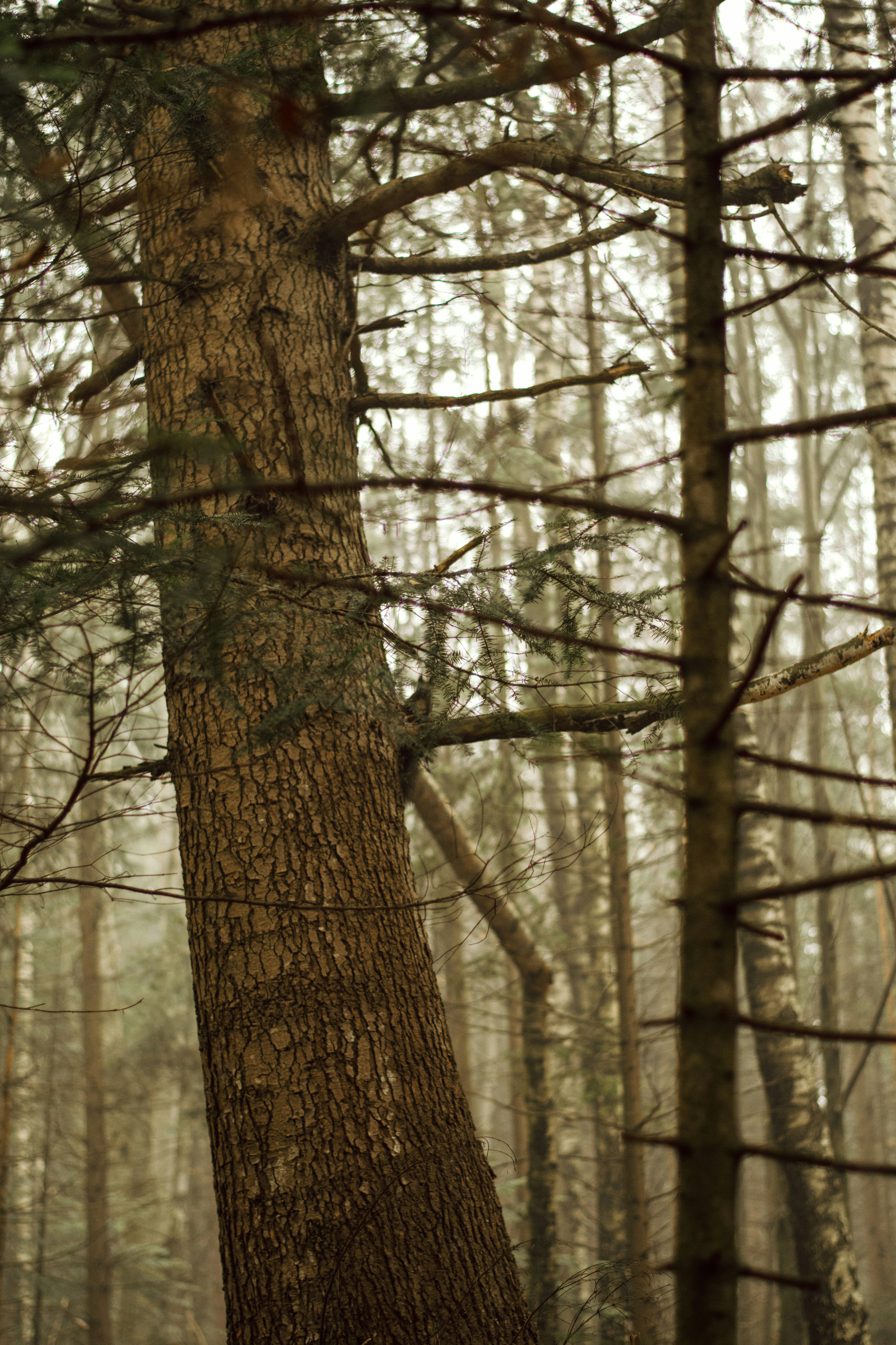 Photo by karynaviktori