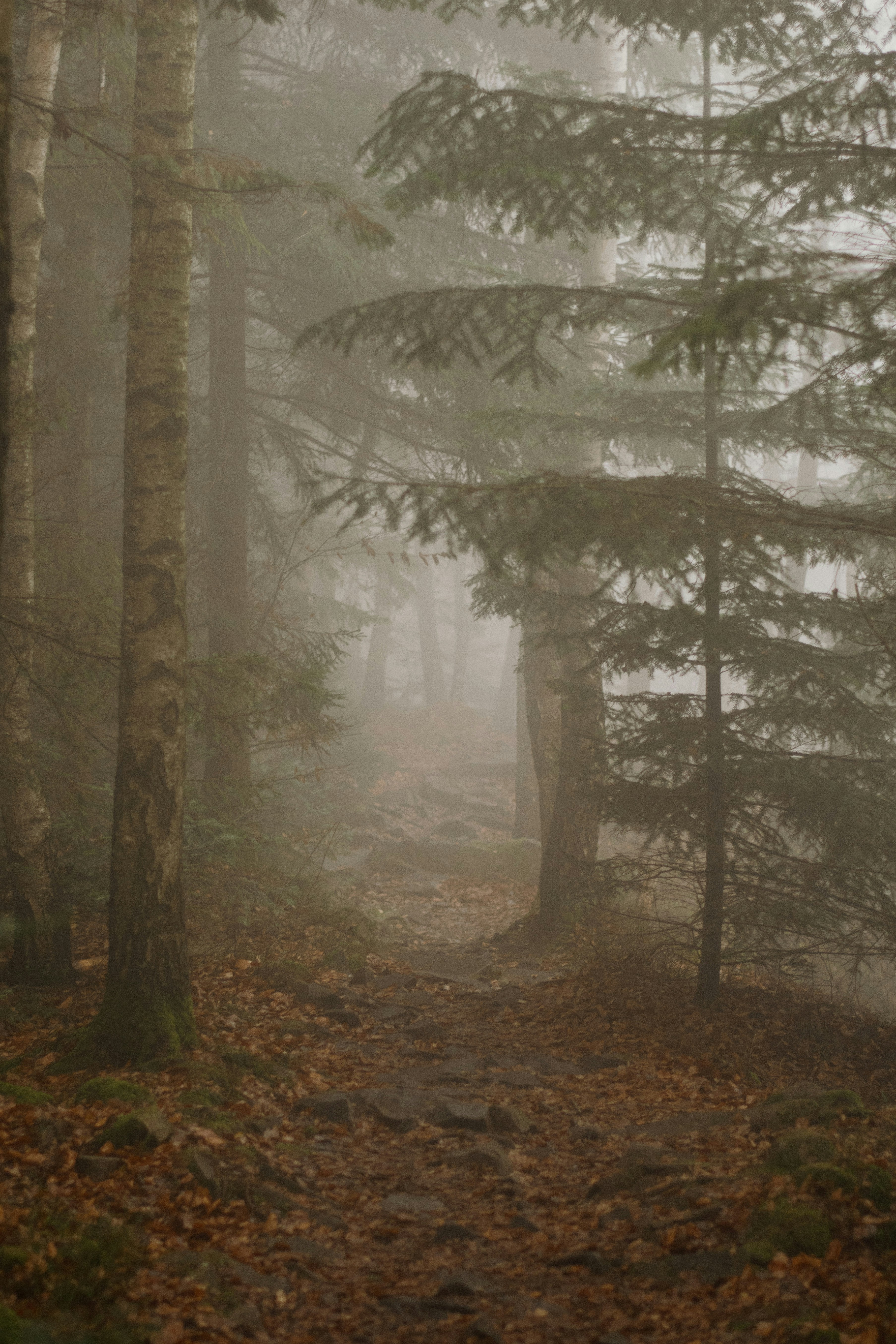 Photo by karynaviktori