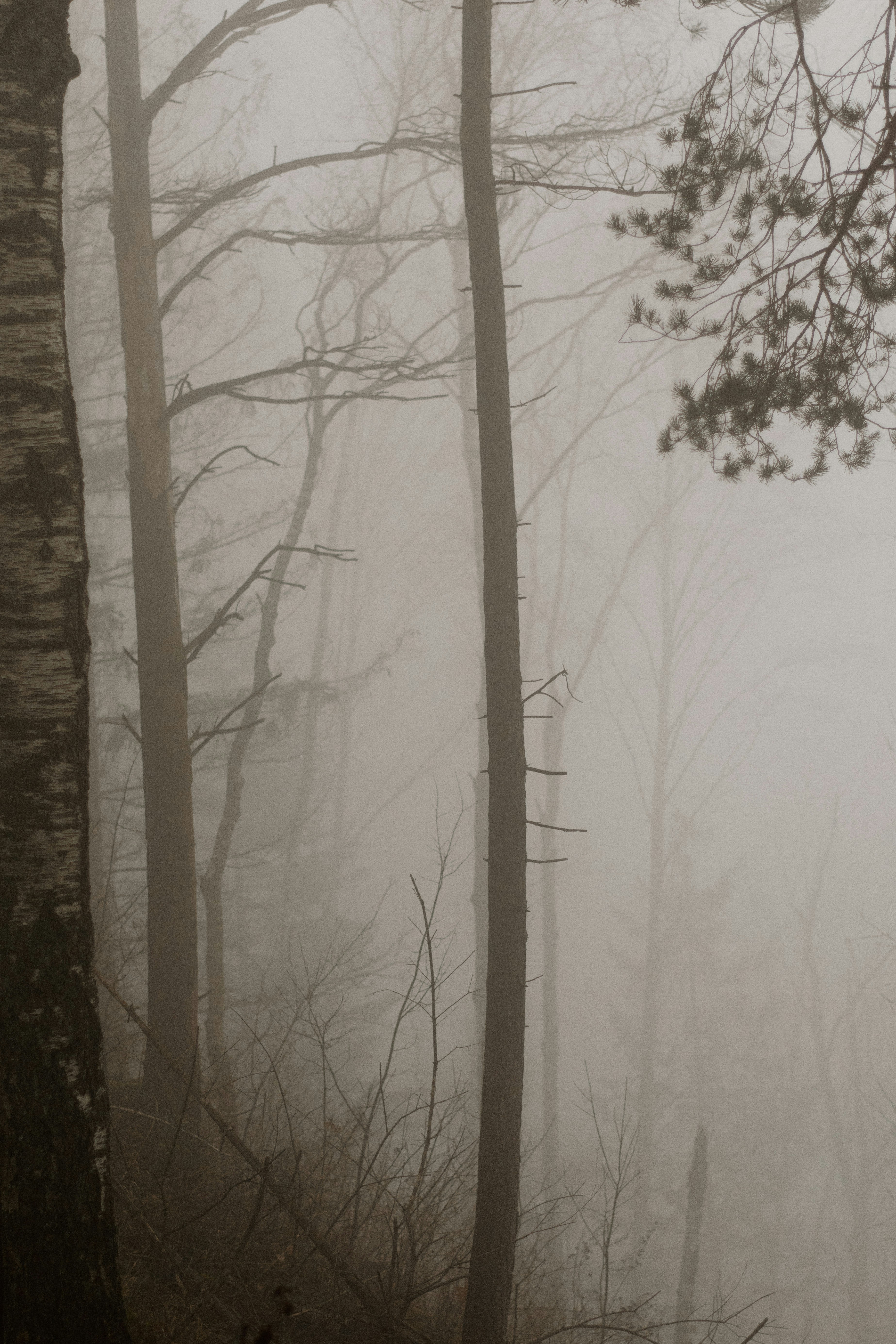 Photo by karynaviktori