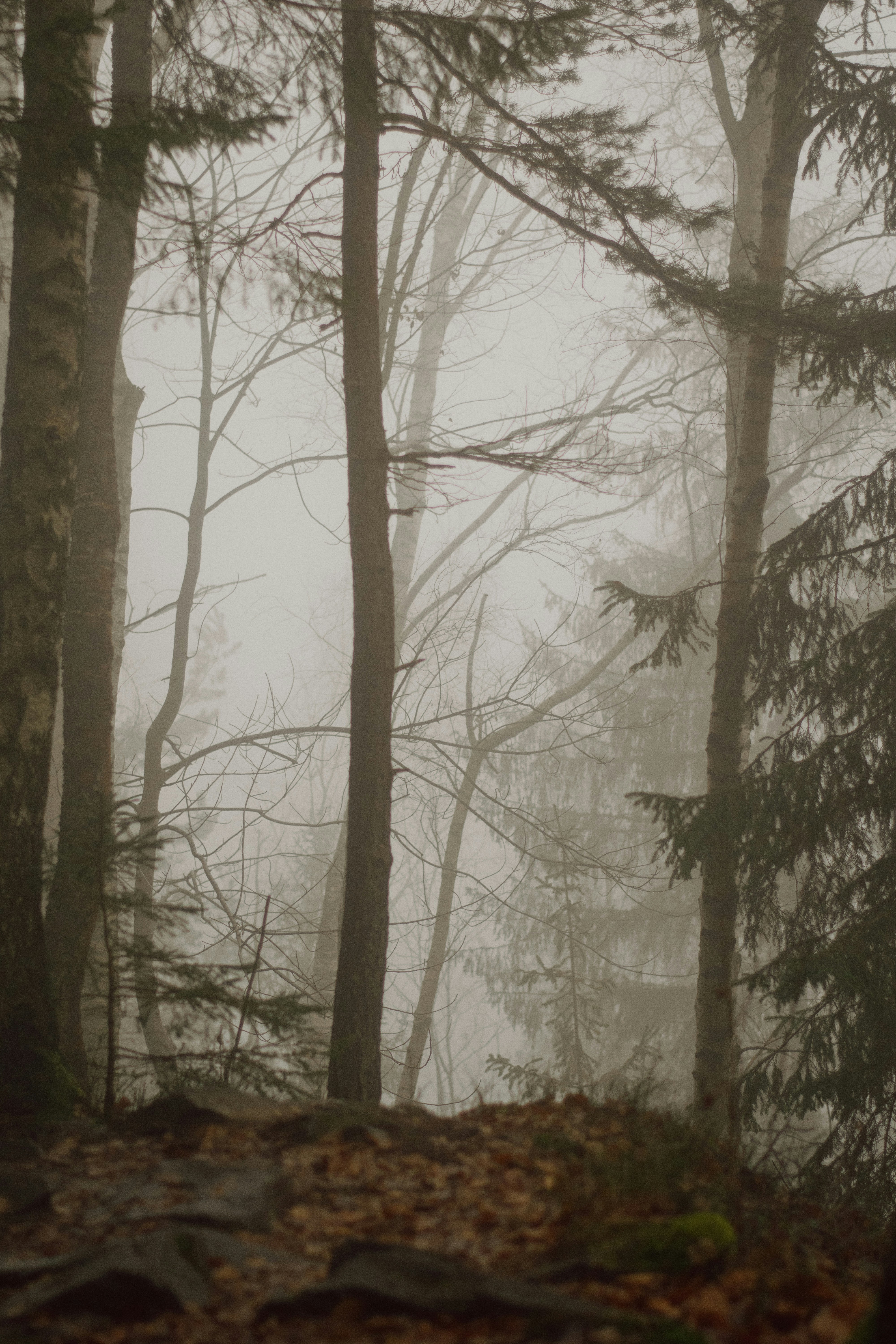 Photo by karynaviktori