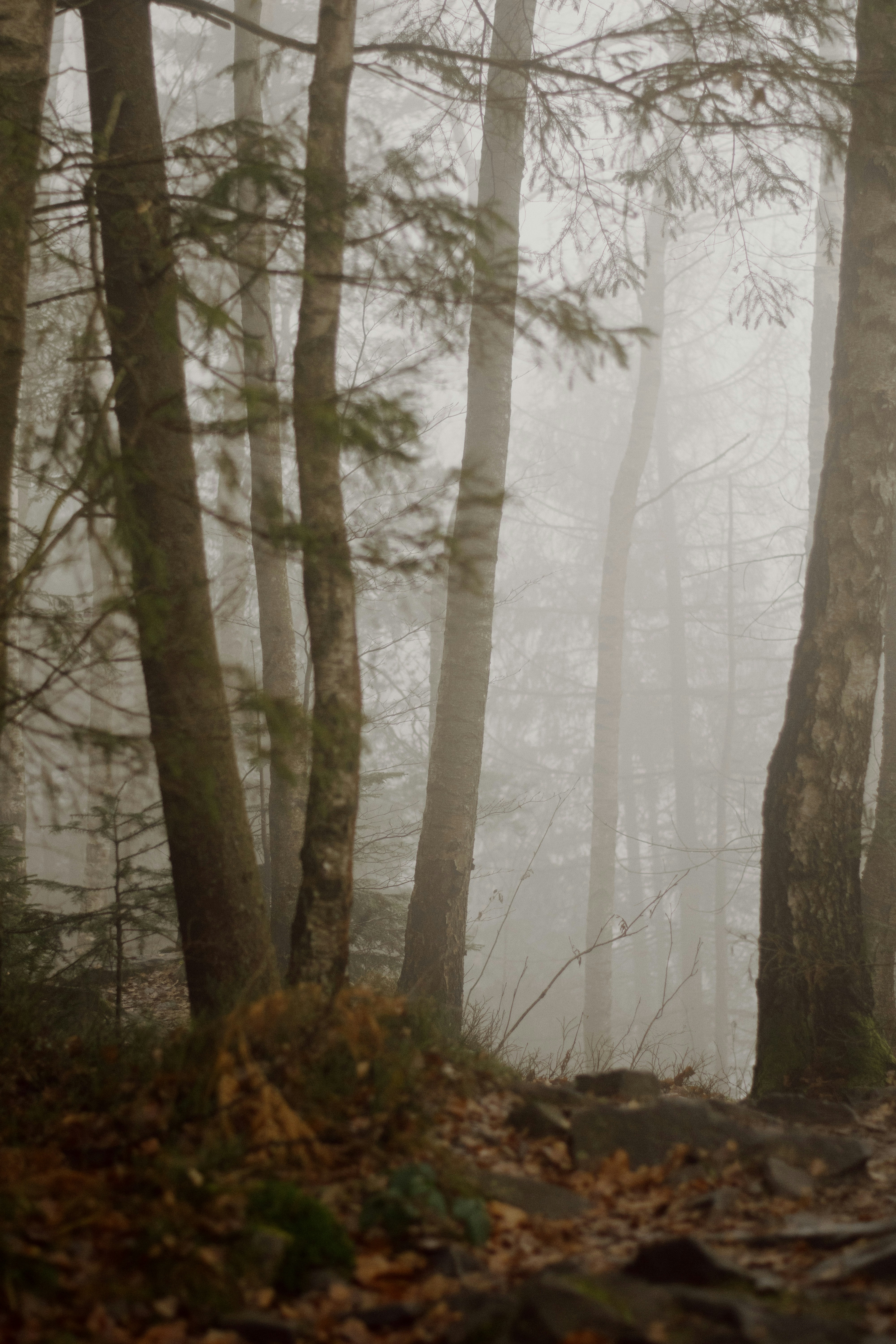 Photo by karynaviktori