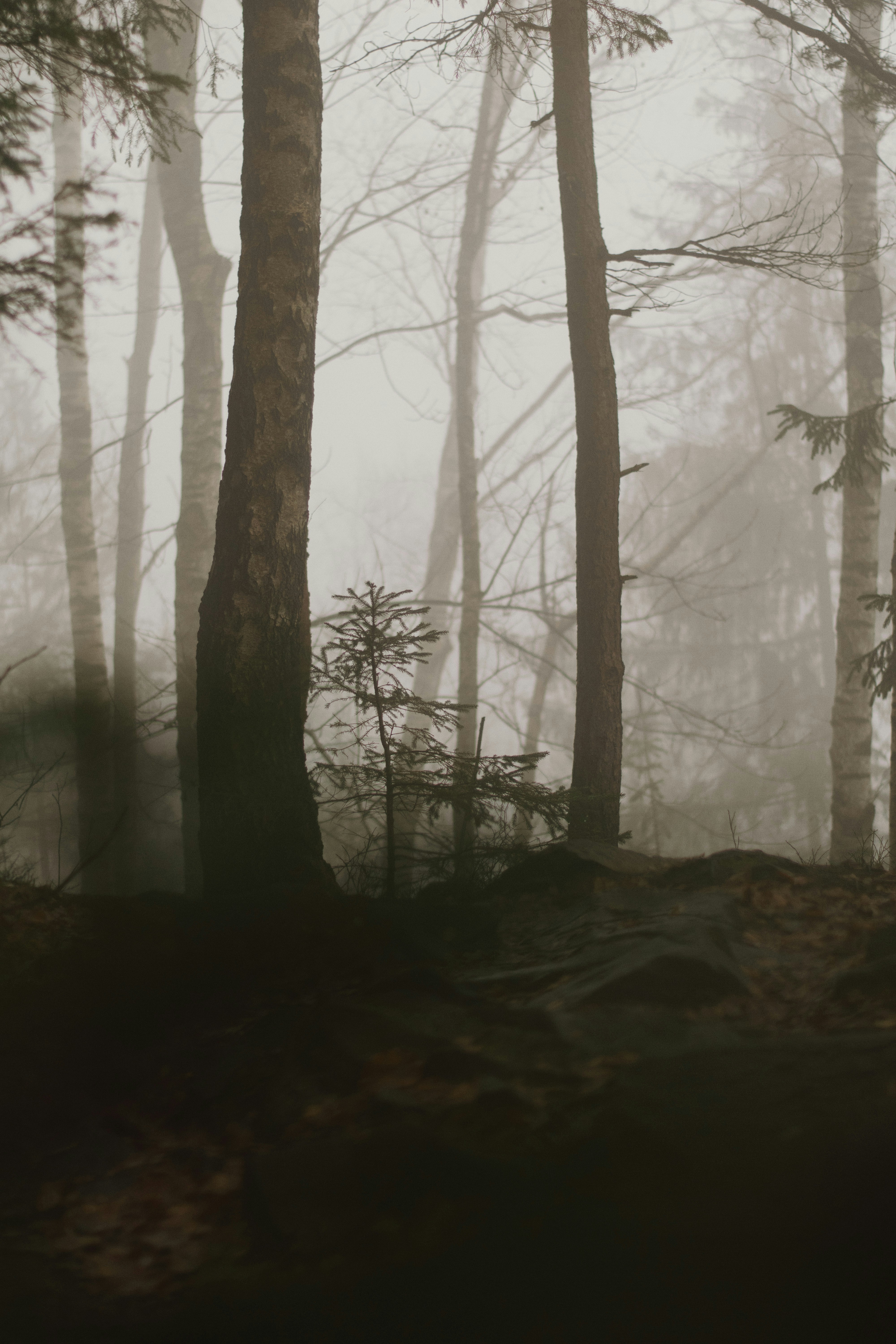 Photo by karynaviktori