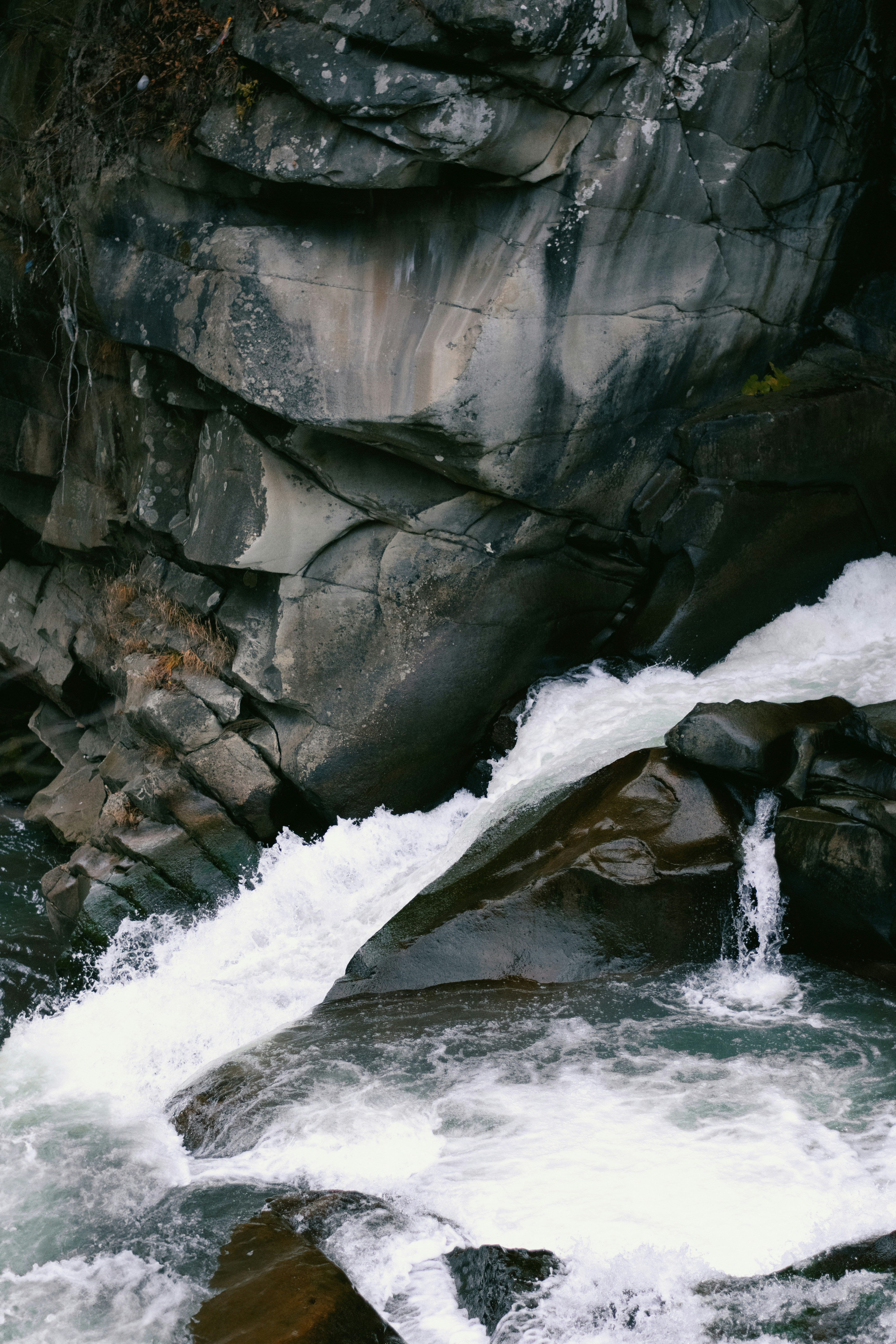 Photo by karynaviktori