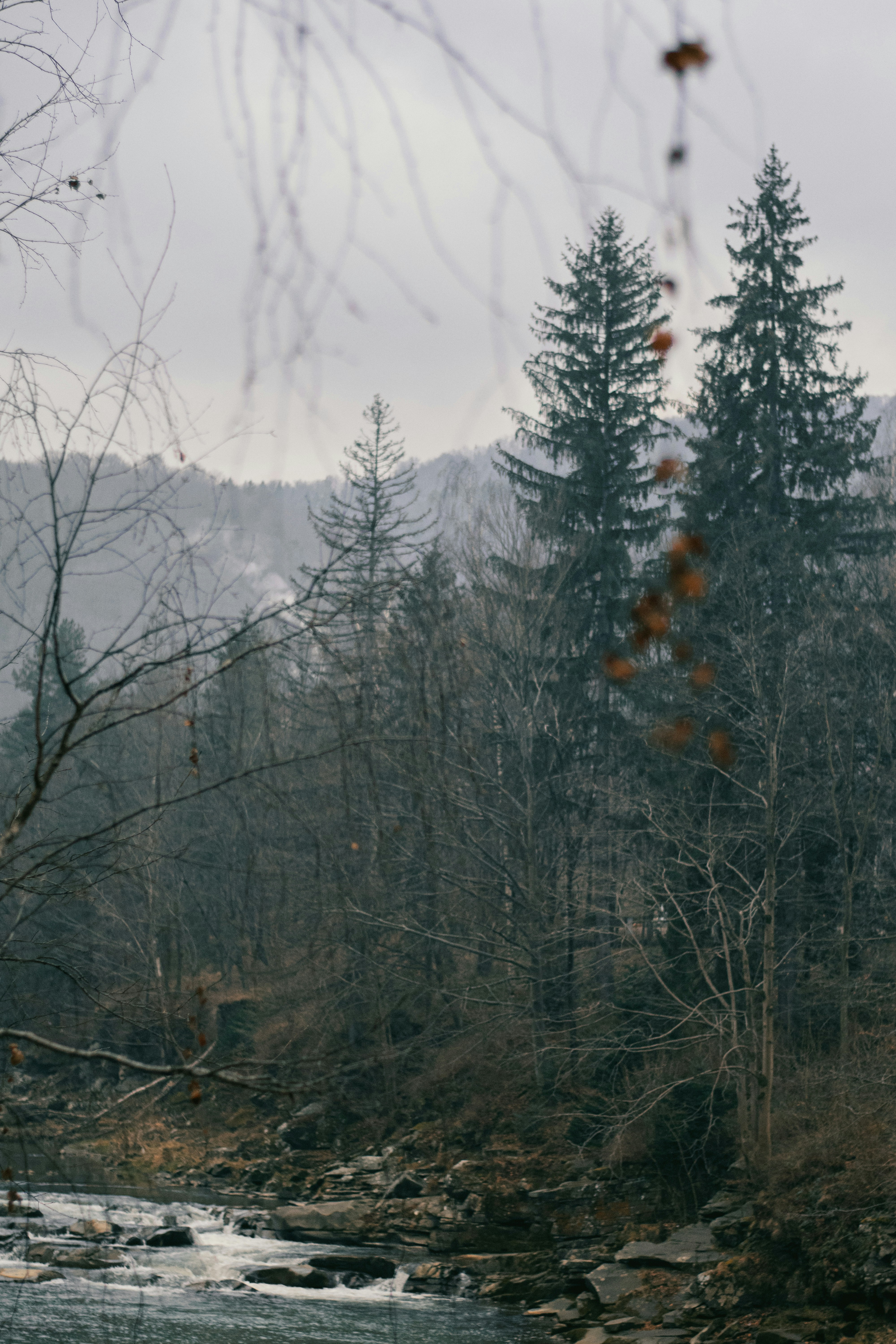 Photo by karynaviktori