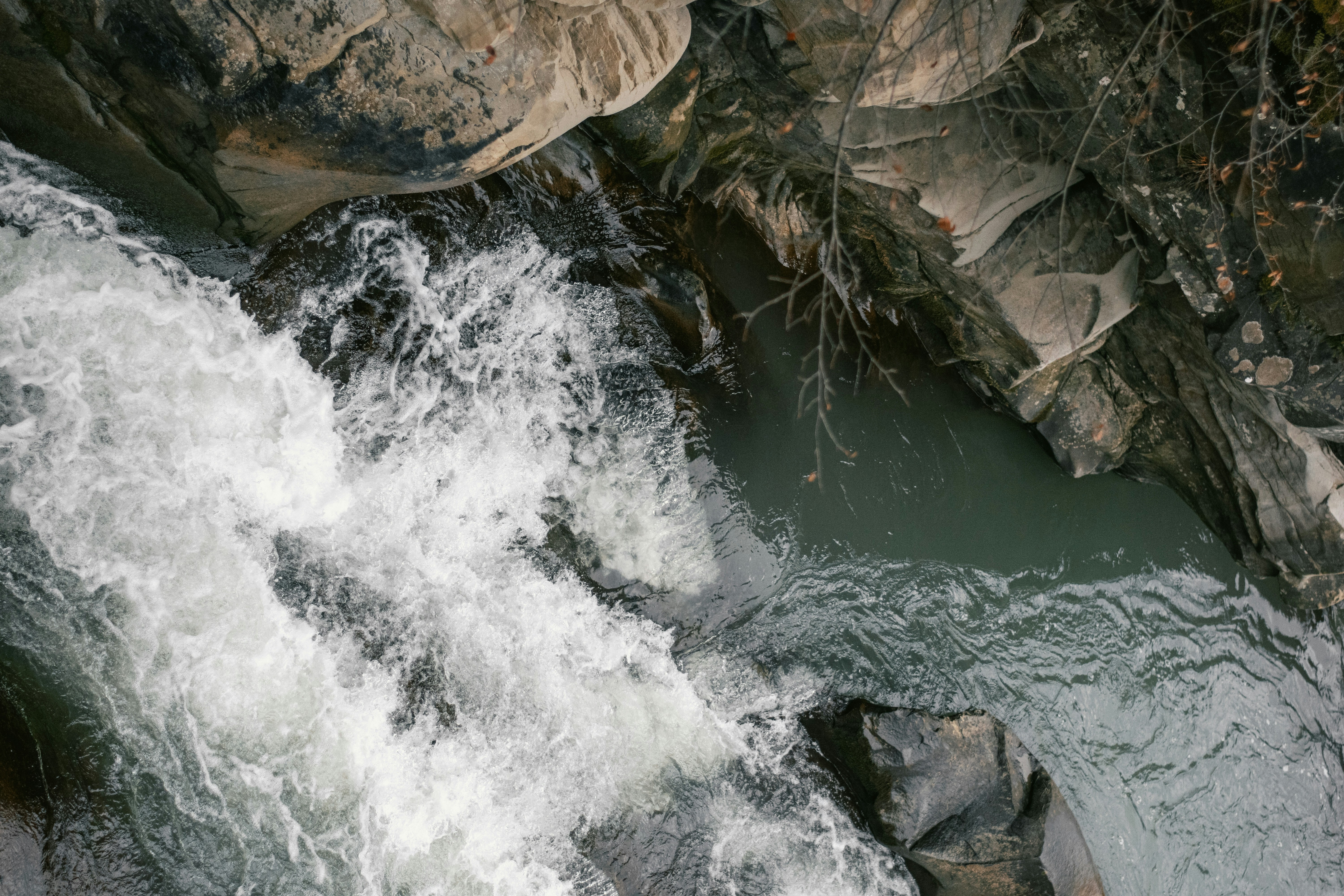 Photo by karynaviktori