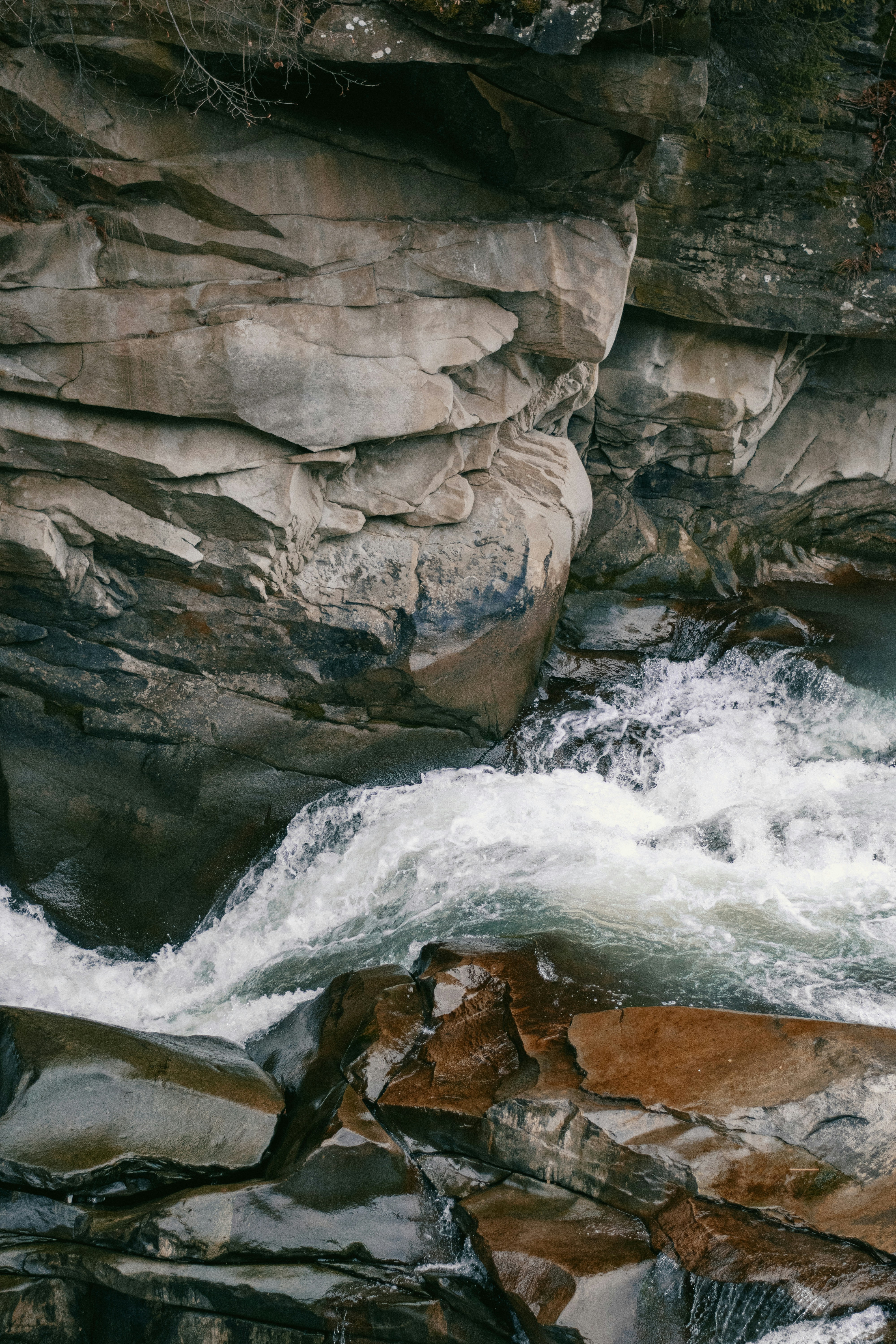 Photo by karynaviktori