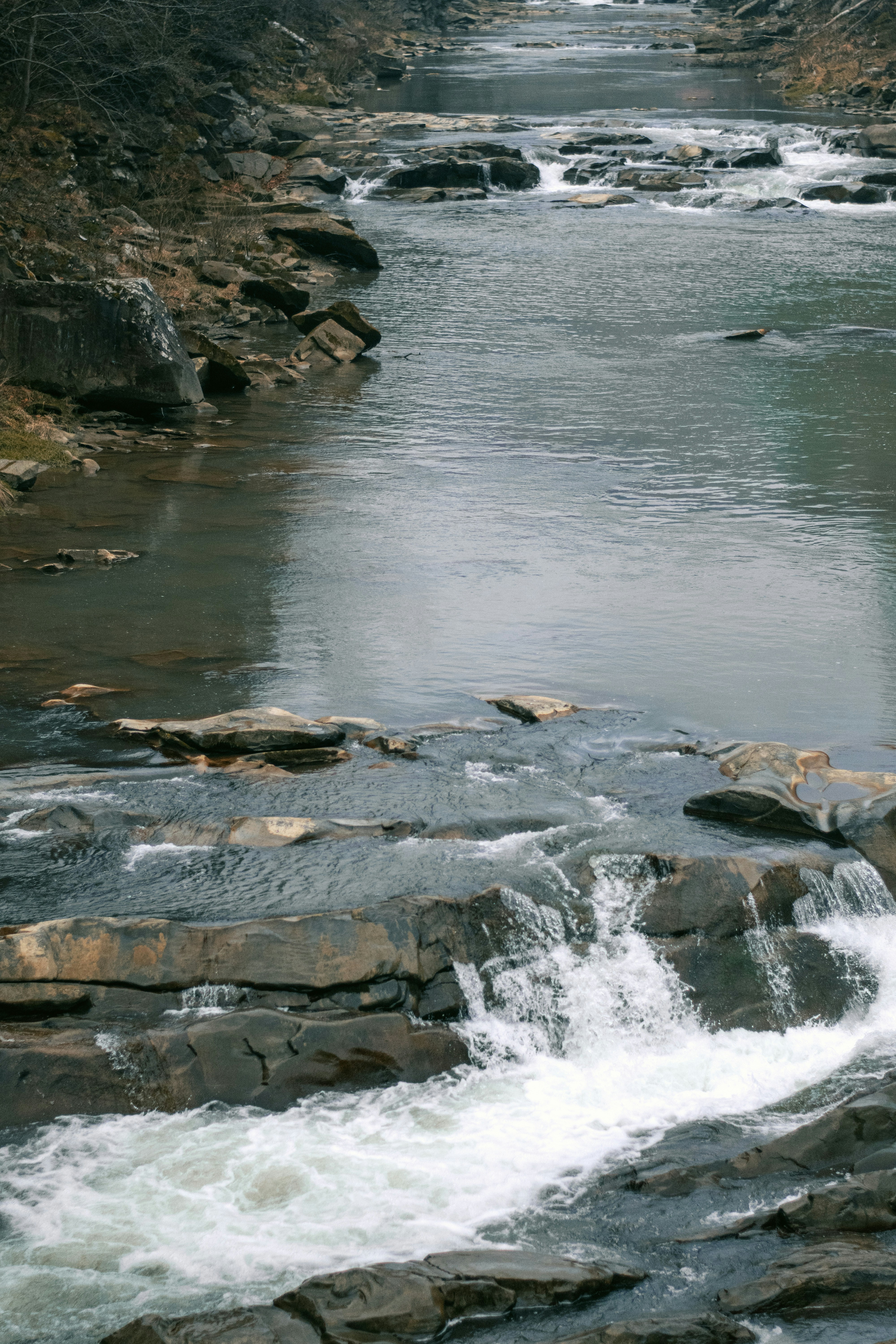 Photo by karynaviktori