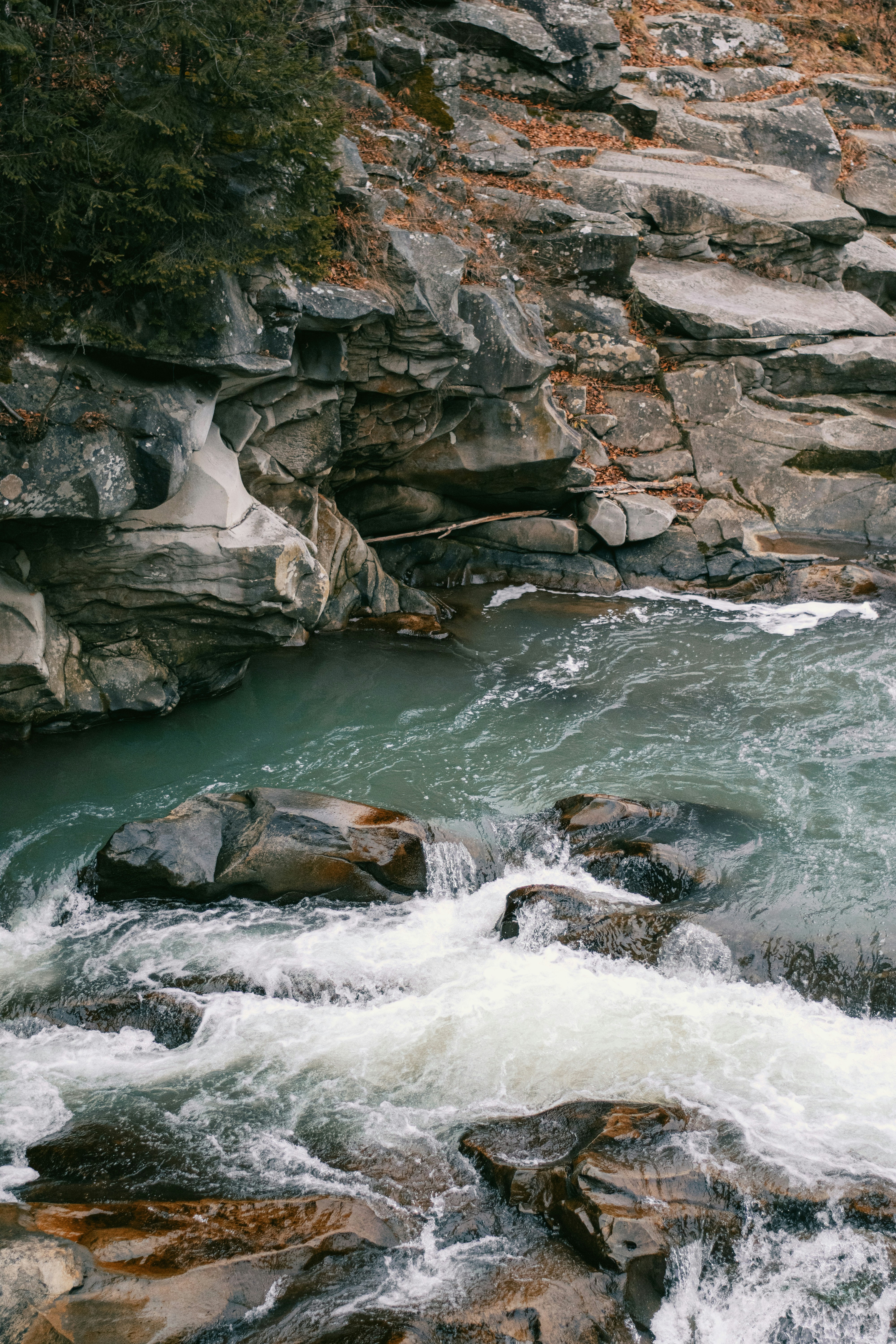 Photo by karynaviktori