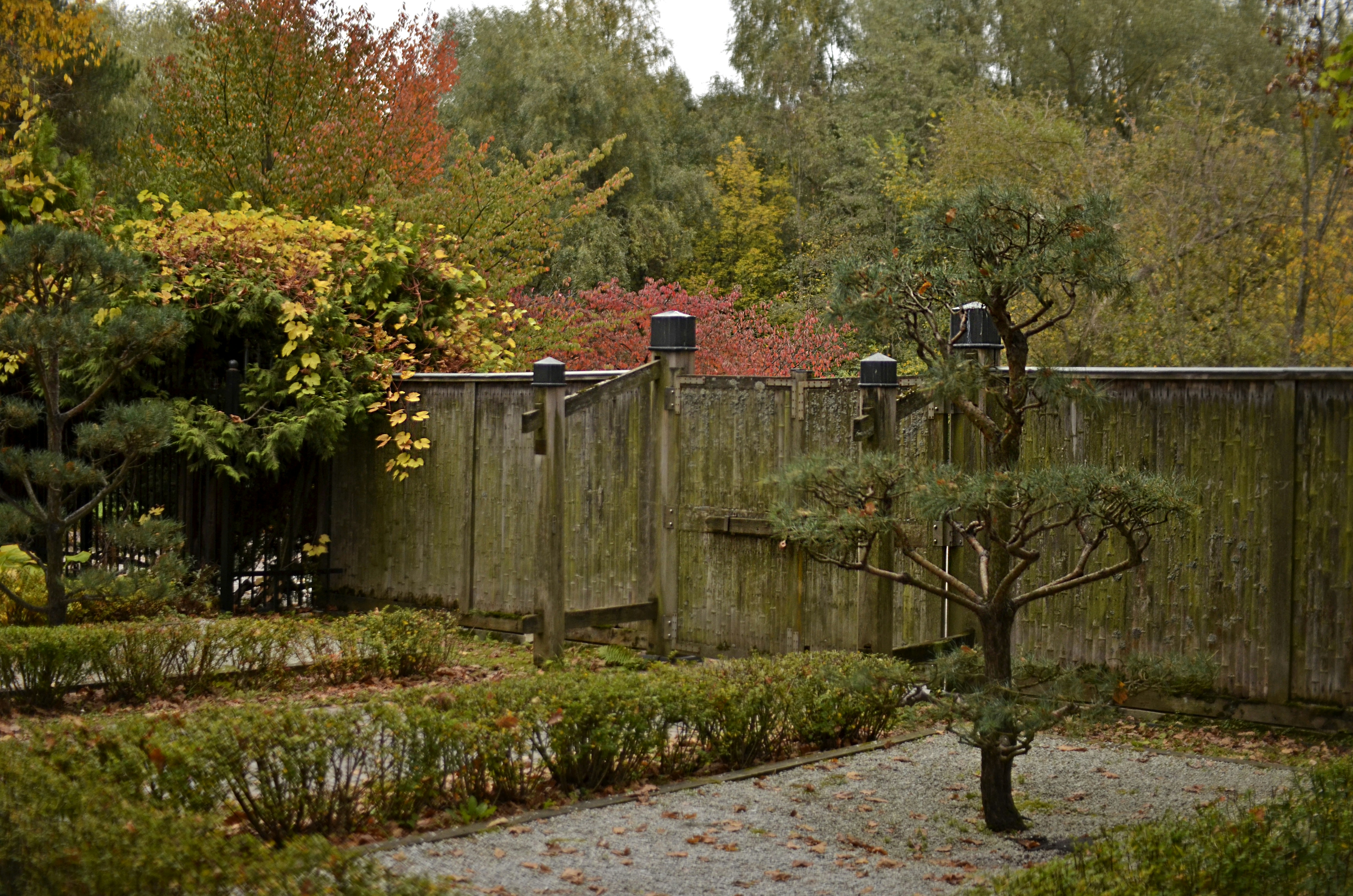 VDNKh Exhibition Centre photo 3