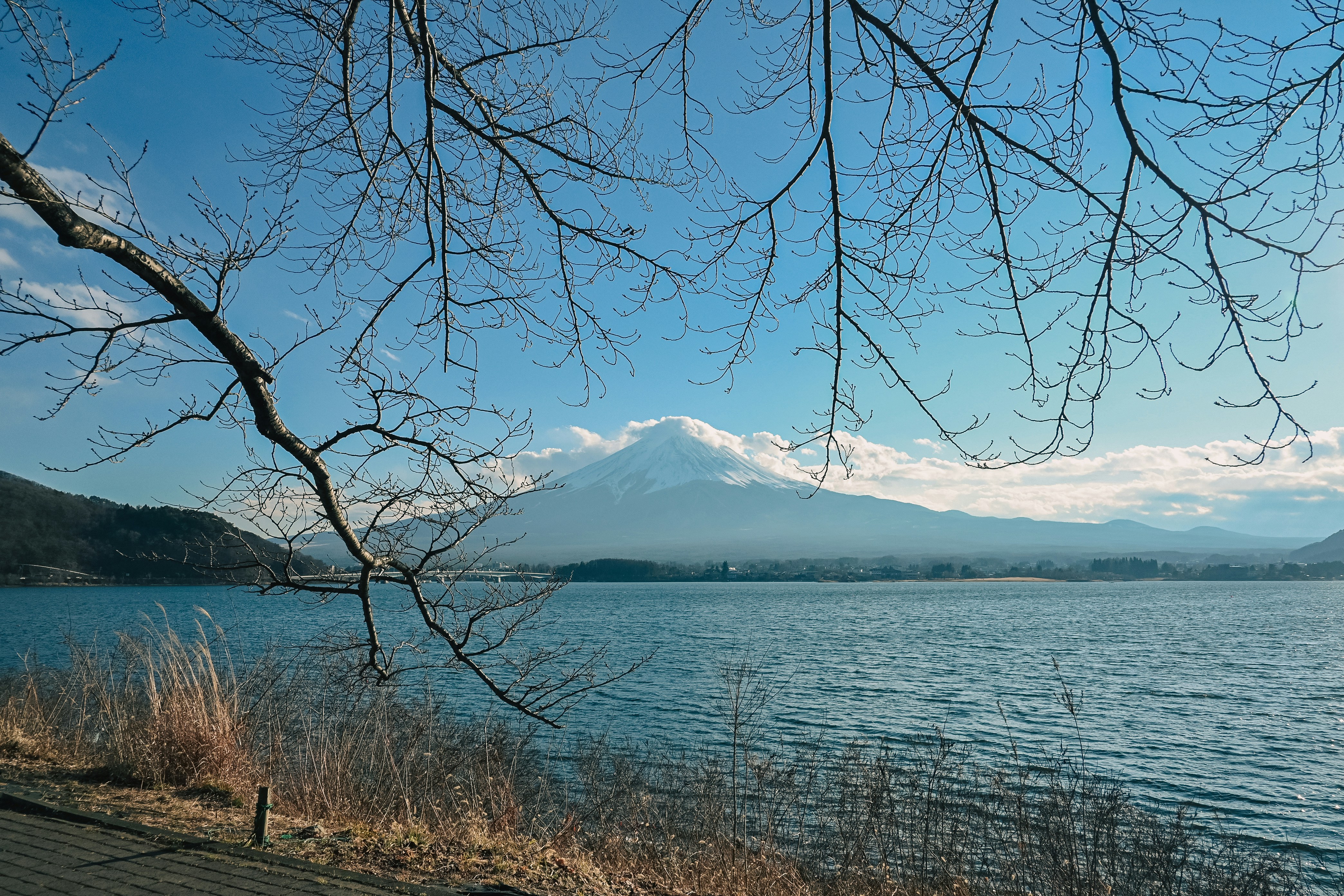 Photo by novel2199