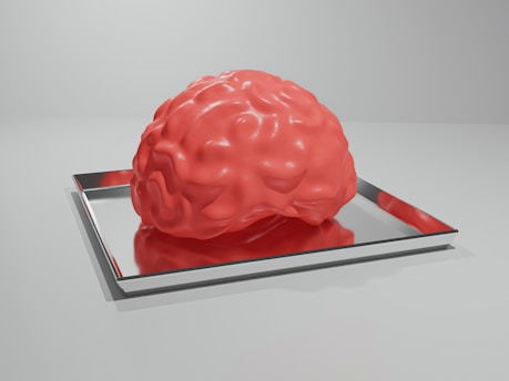 A red brain sitting on top of a metal tray