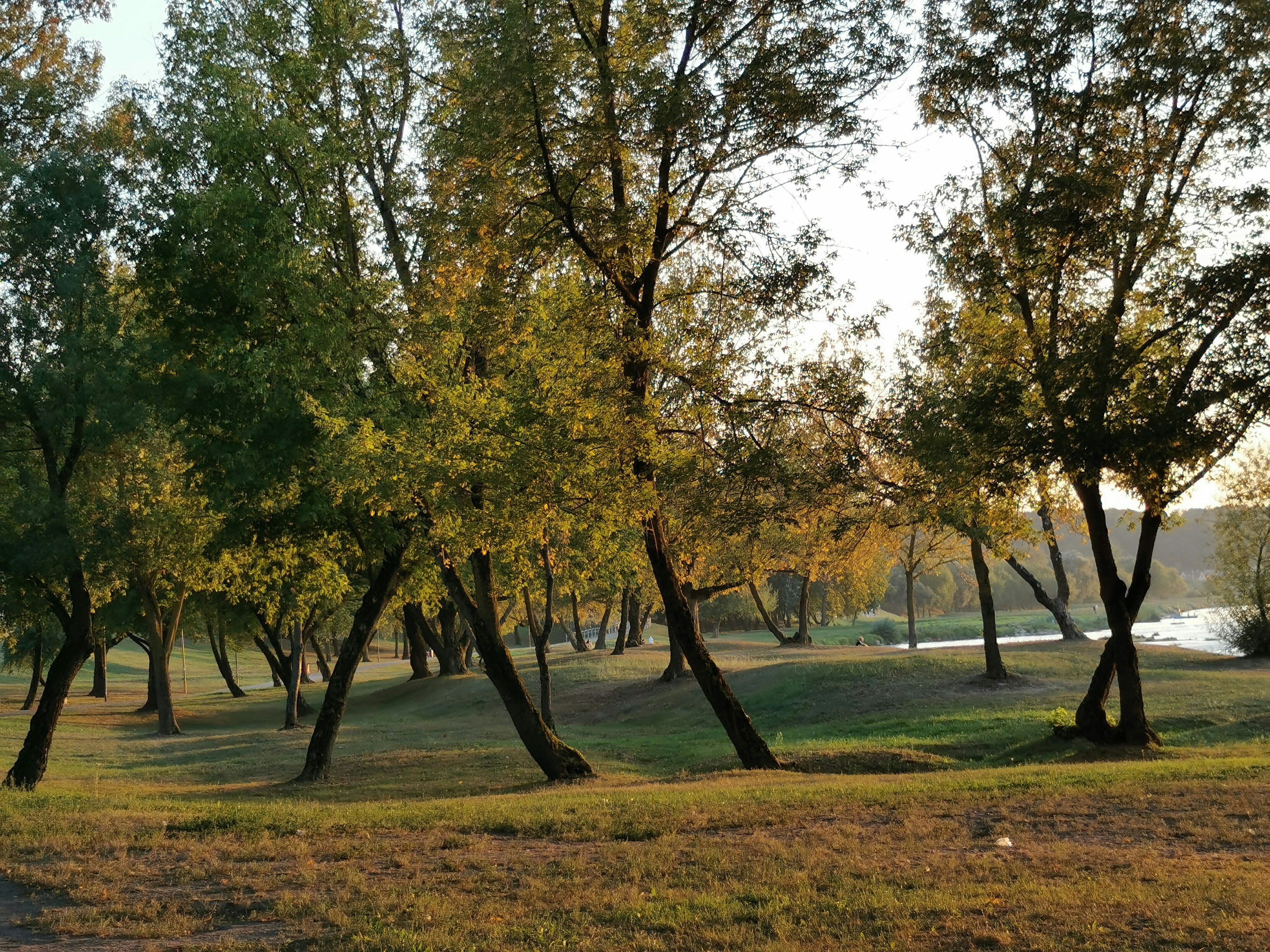 Photo by krisztinaantaloczy