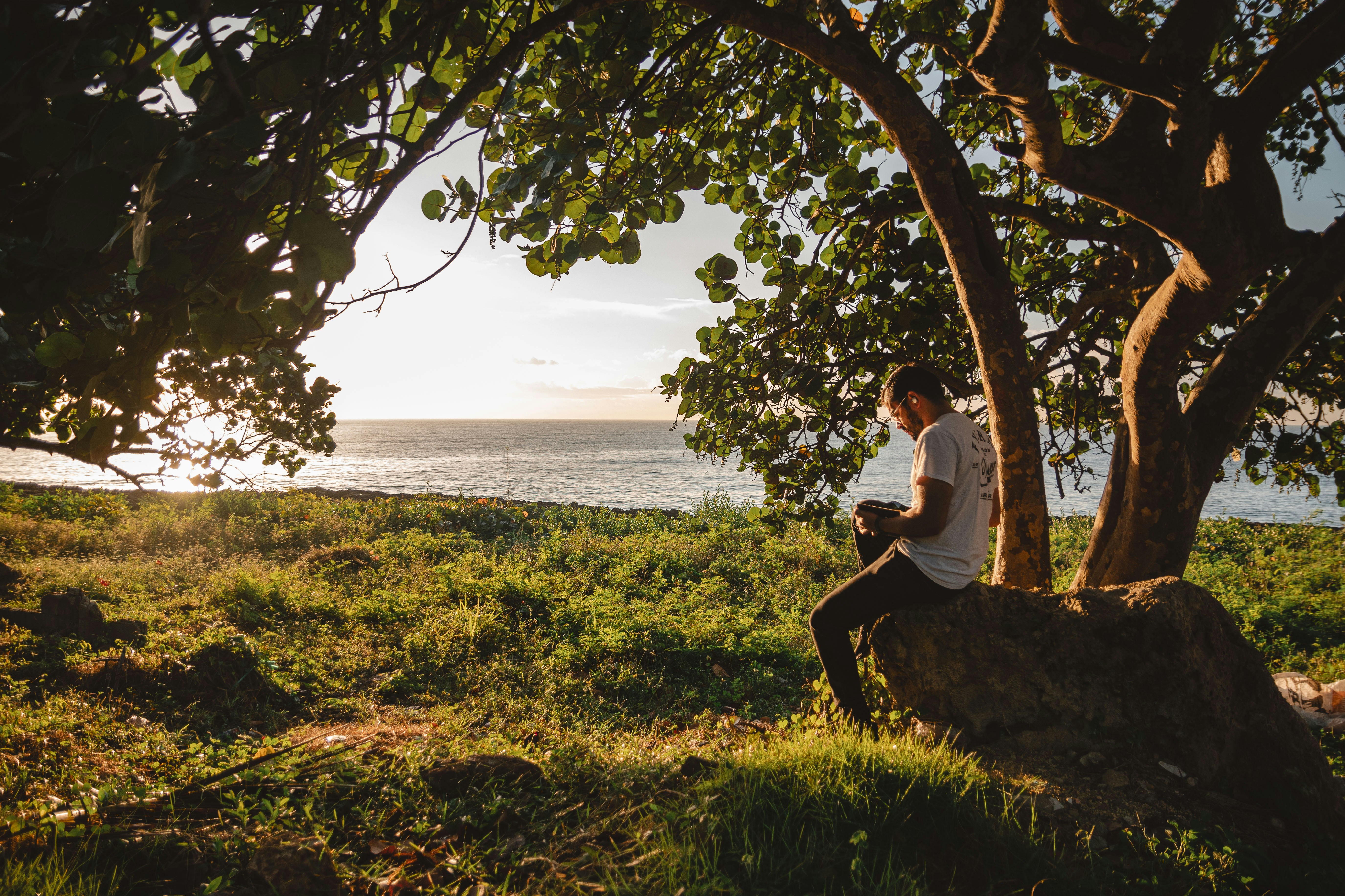 A man sitting on a rock under a tree