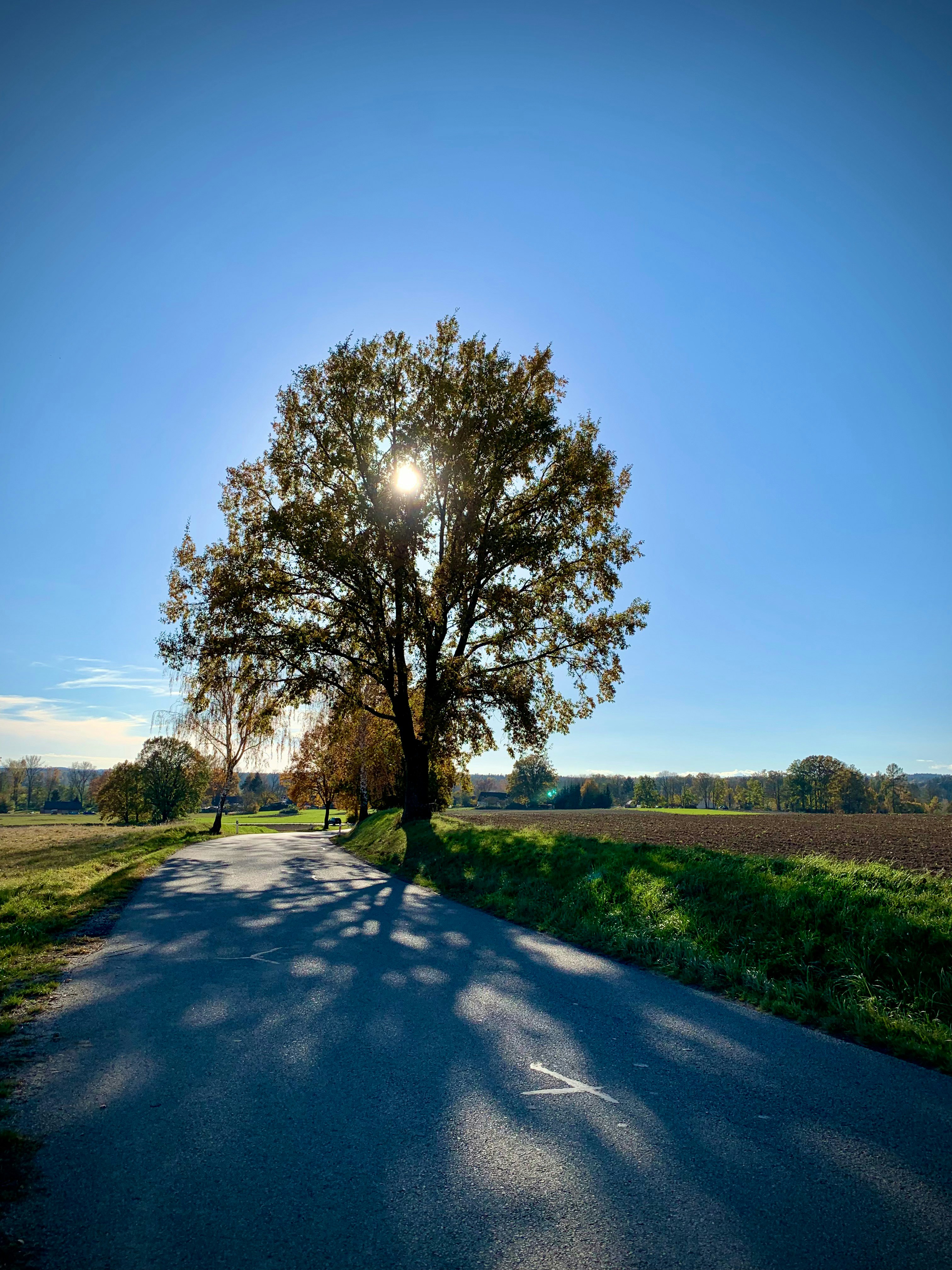 Photo by extravaganso