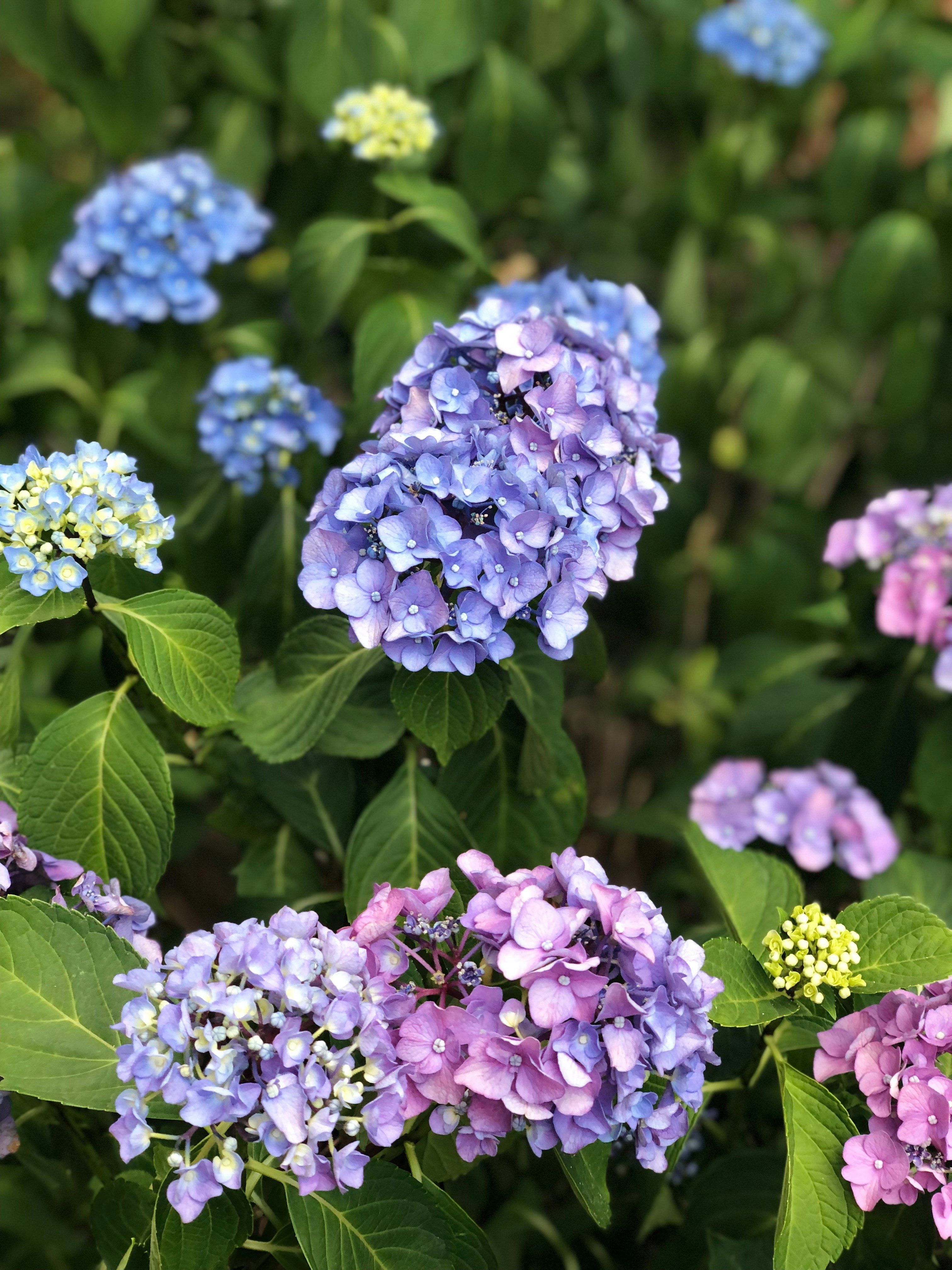 Photo by kairibubbles69