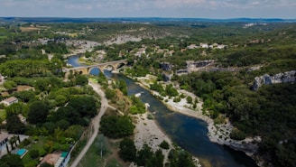 An aerial view of a river running through a lush green forest