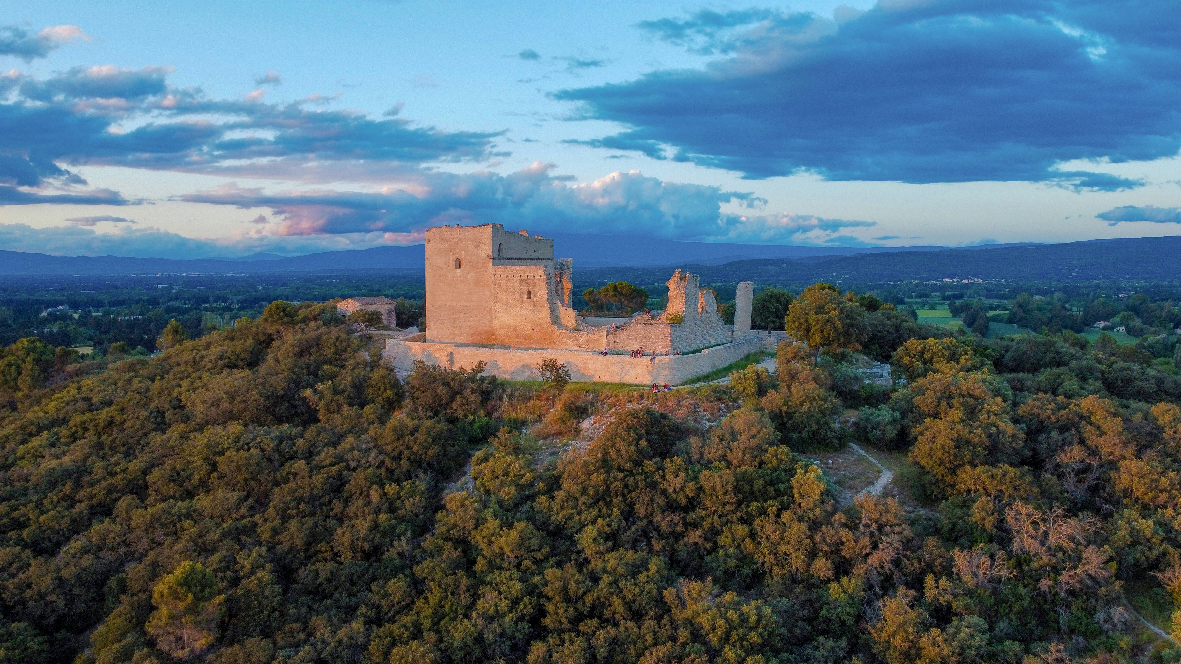 Eine Luftaufnahme eines von Bäumen umgebenen Schlosses