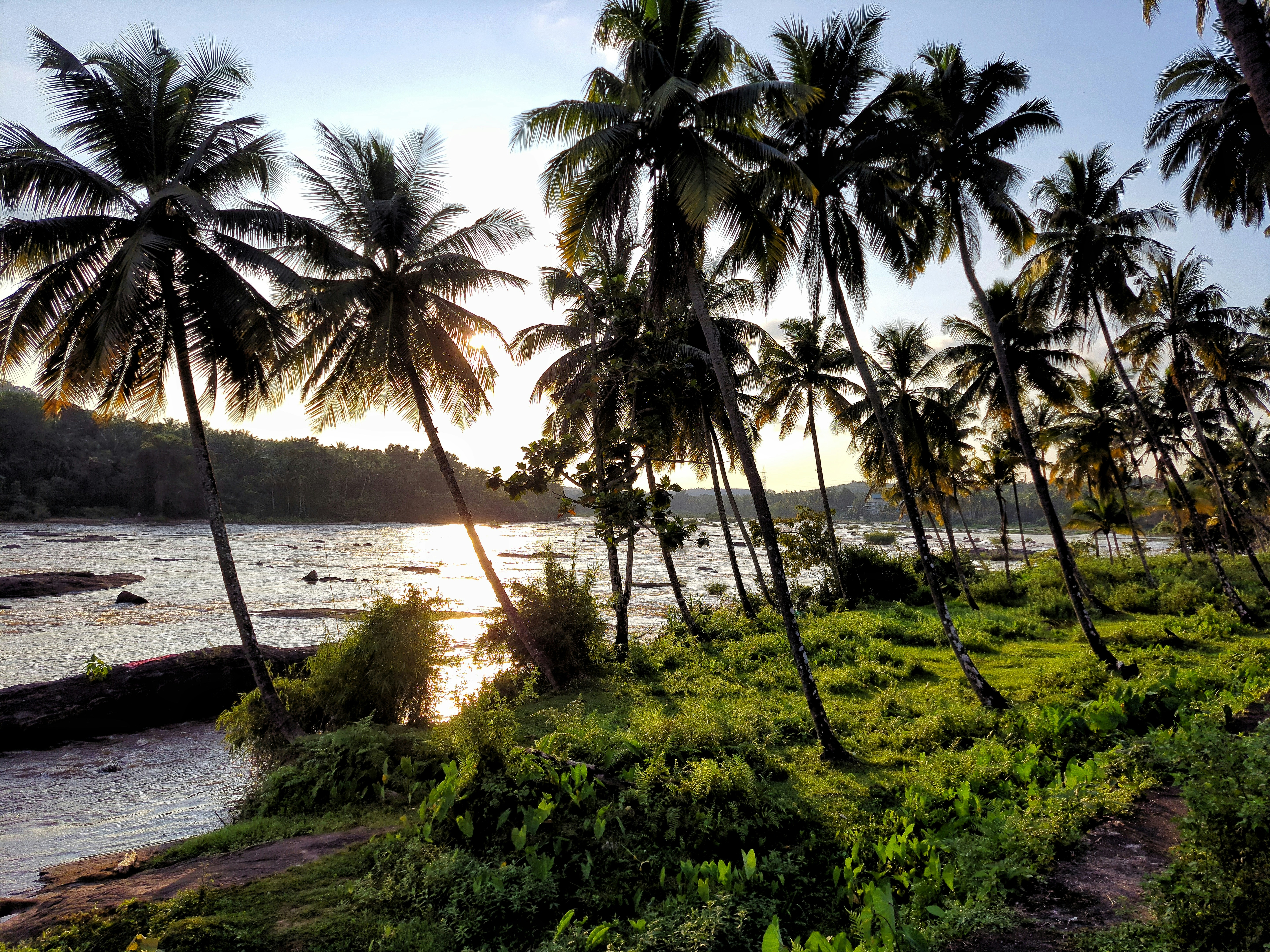 Photo by kappilocksplanet