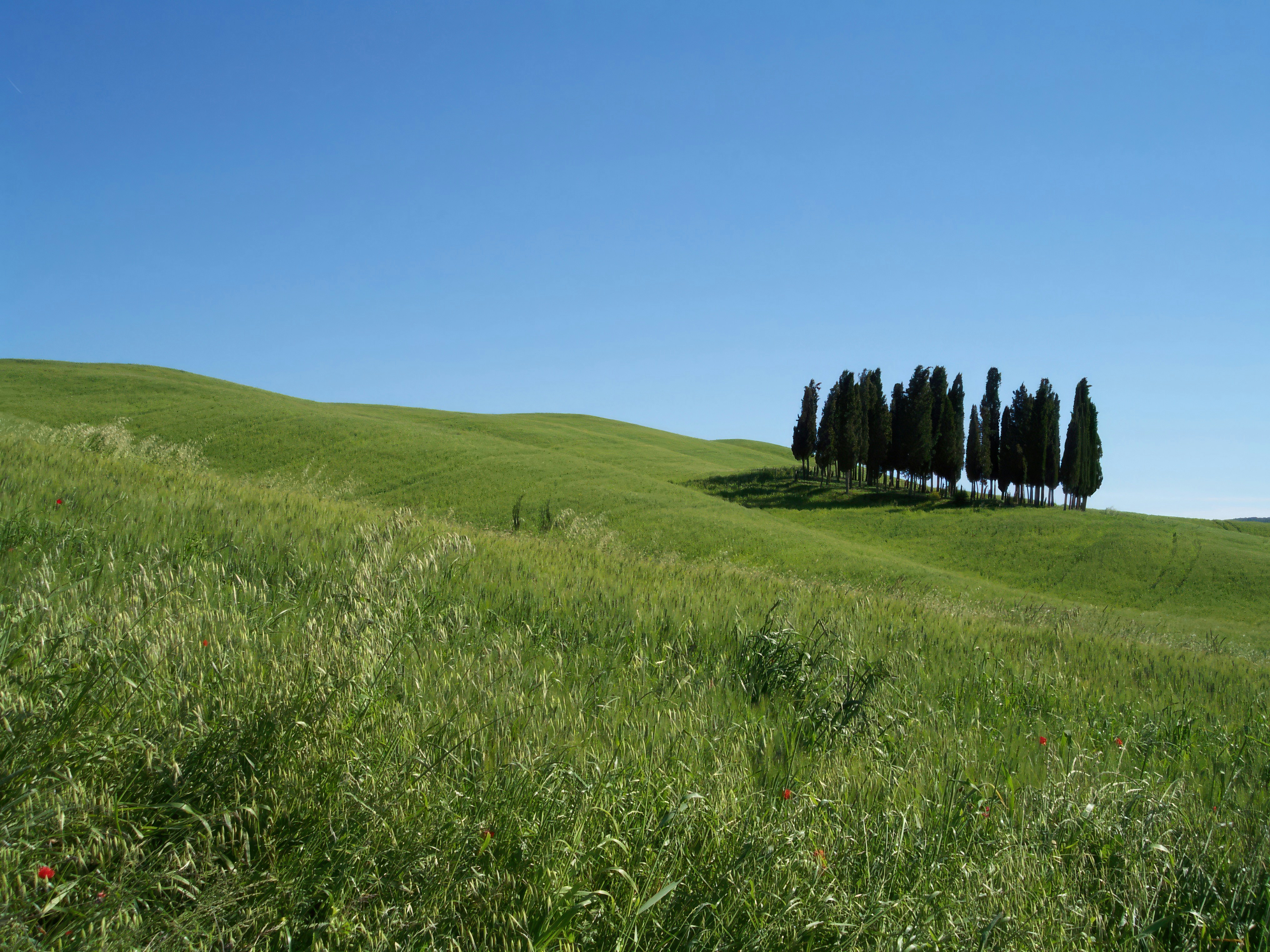 Photo by alexraddatz