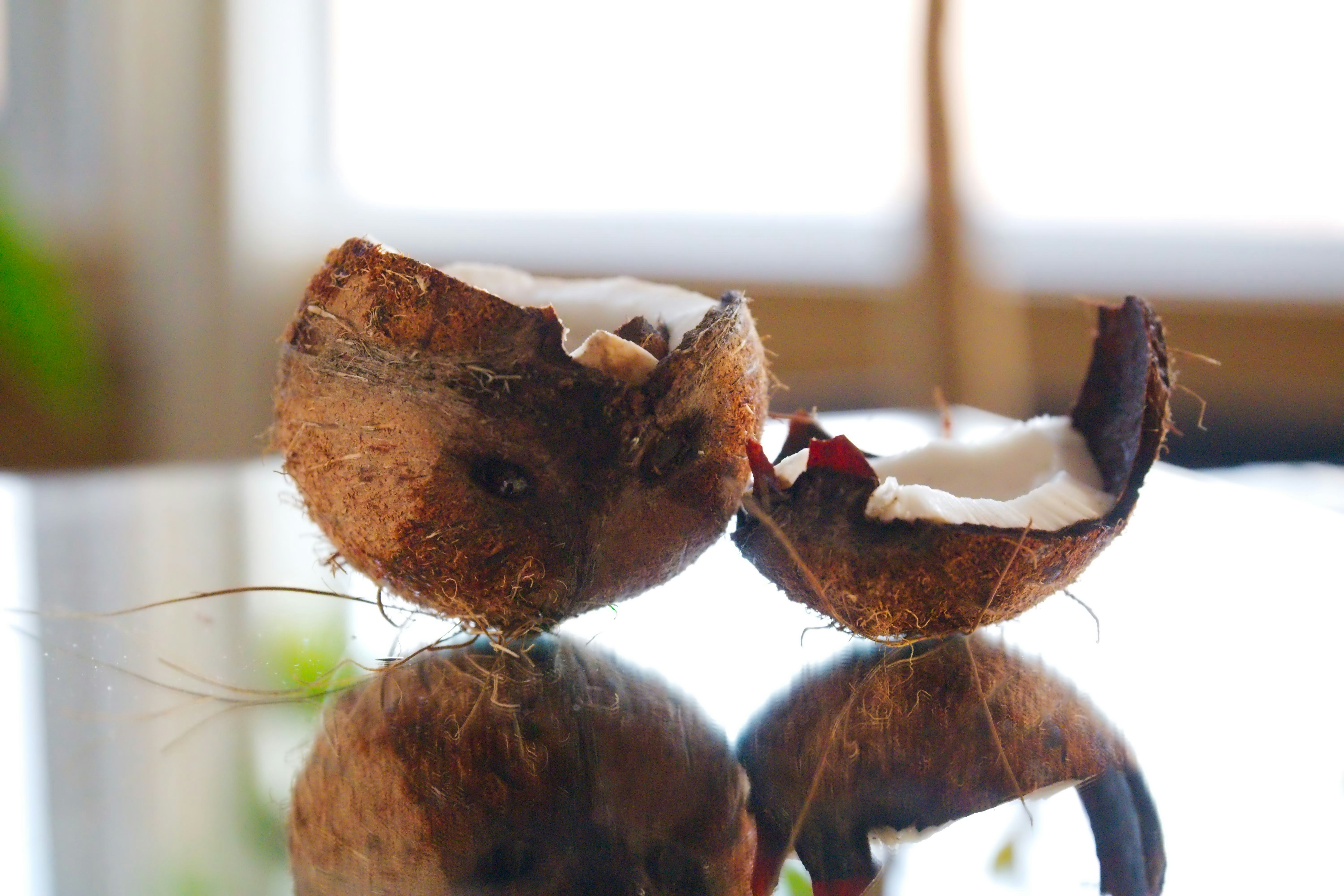 A couple of stuffed animals sitting on top of a table