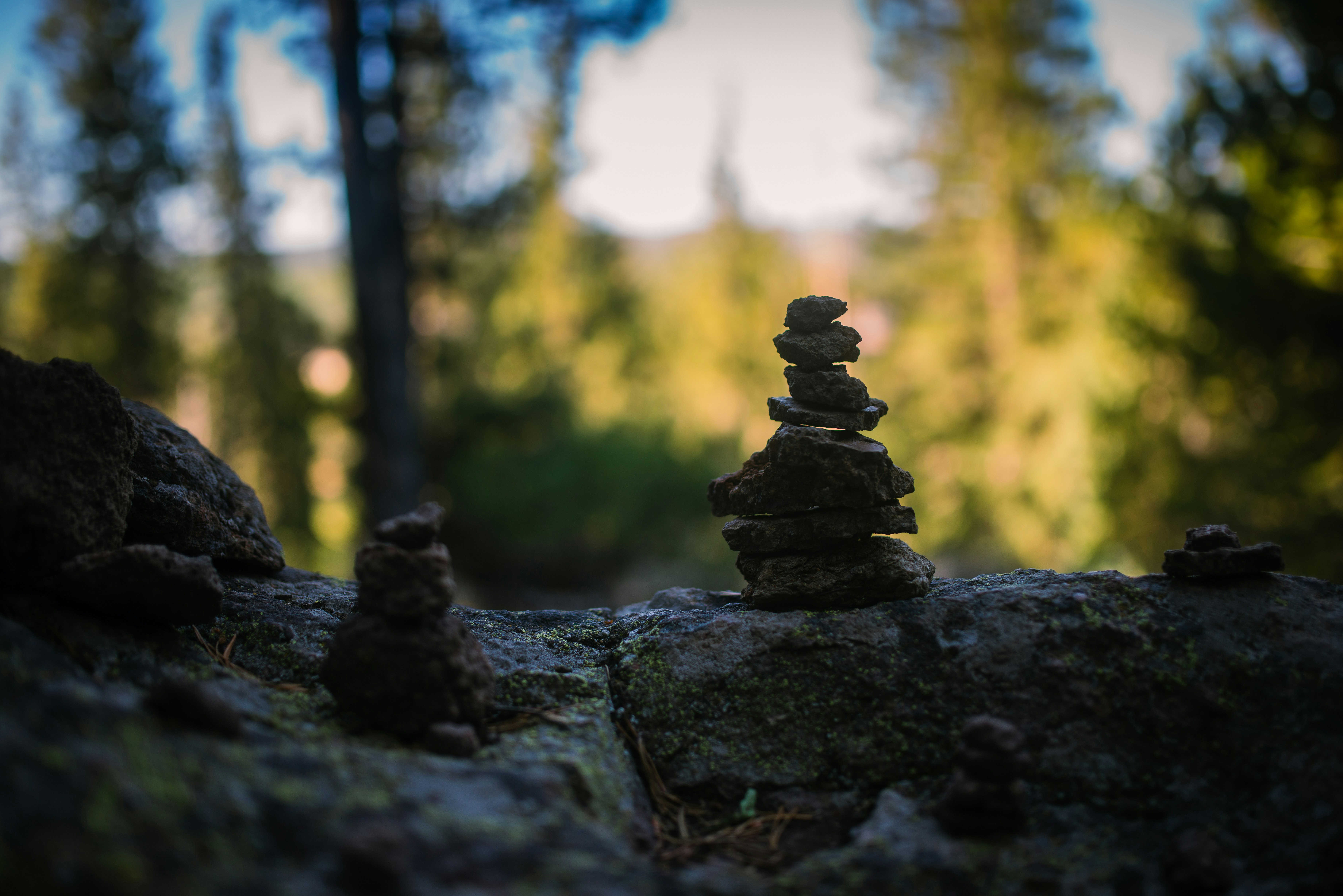 Photo by syrenofisys