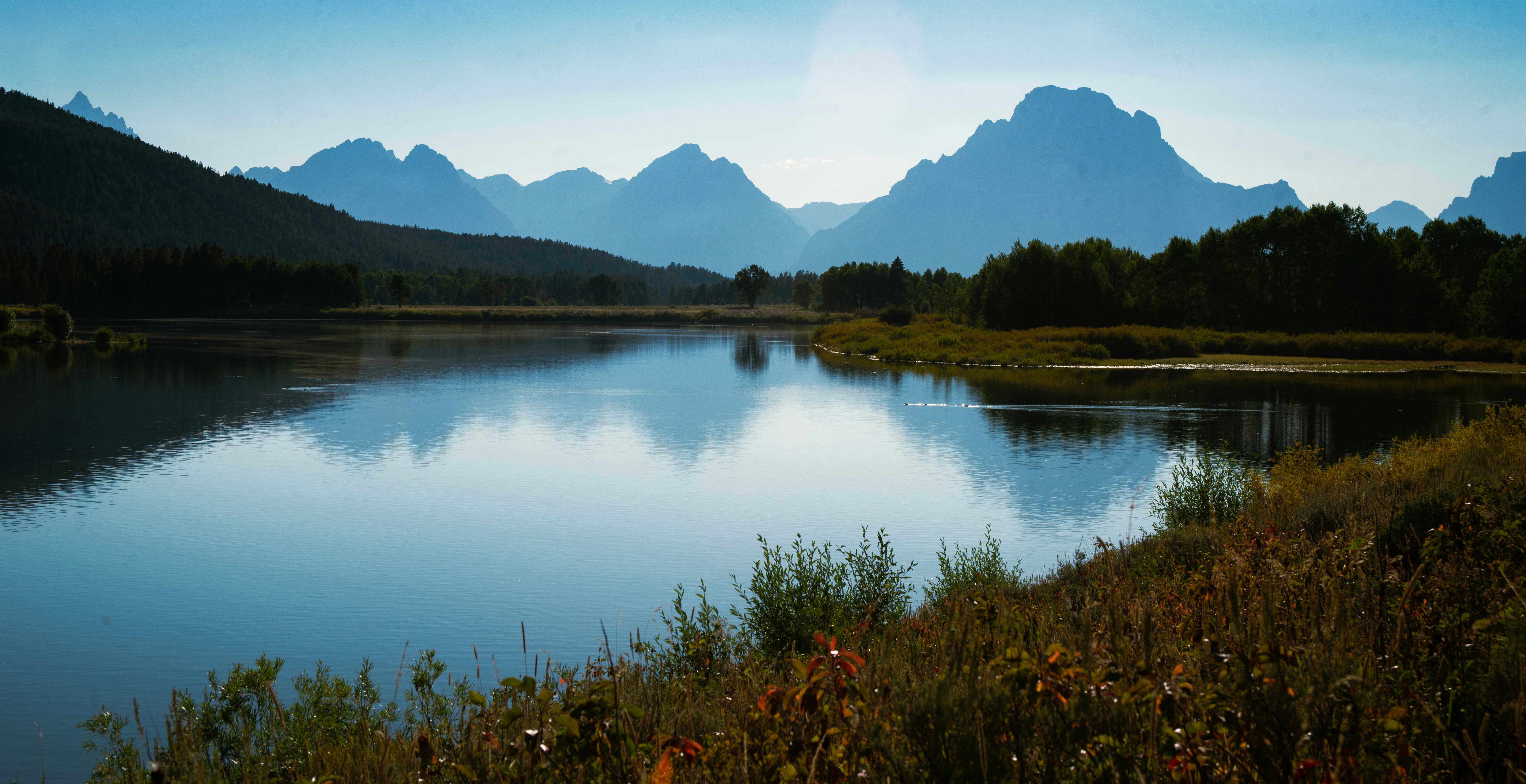 Photo by syrenofisys