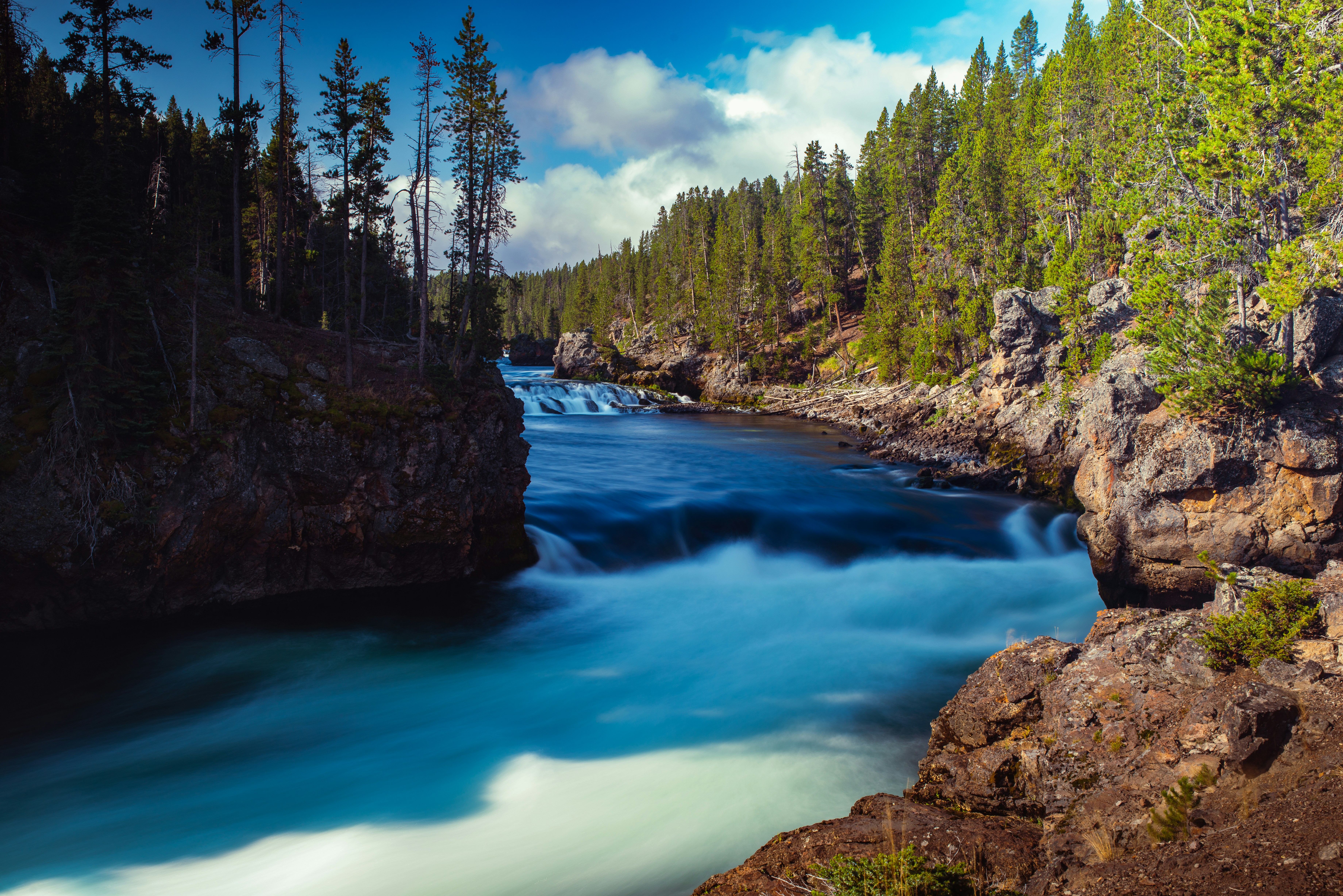 Photo by syrenofisys