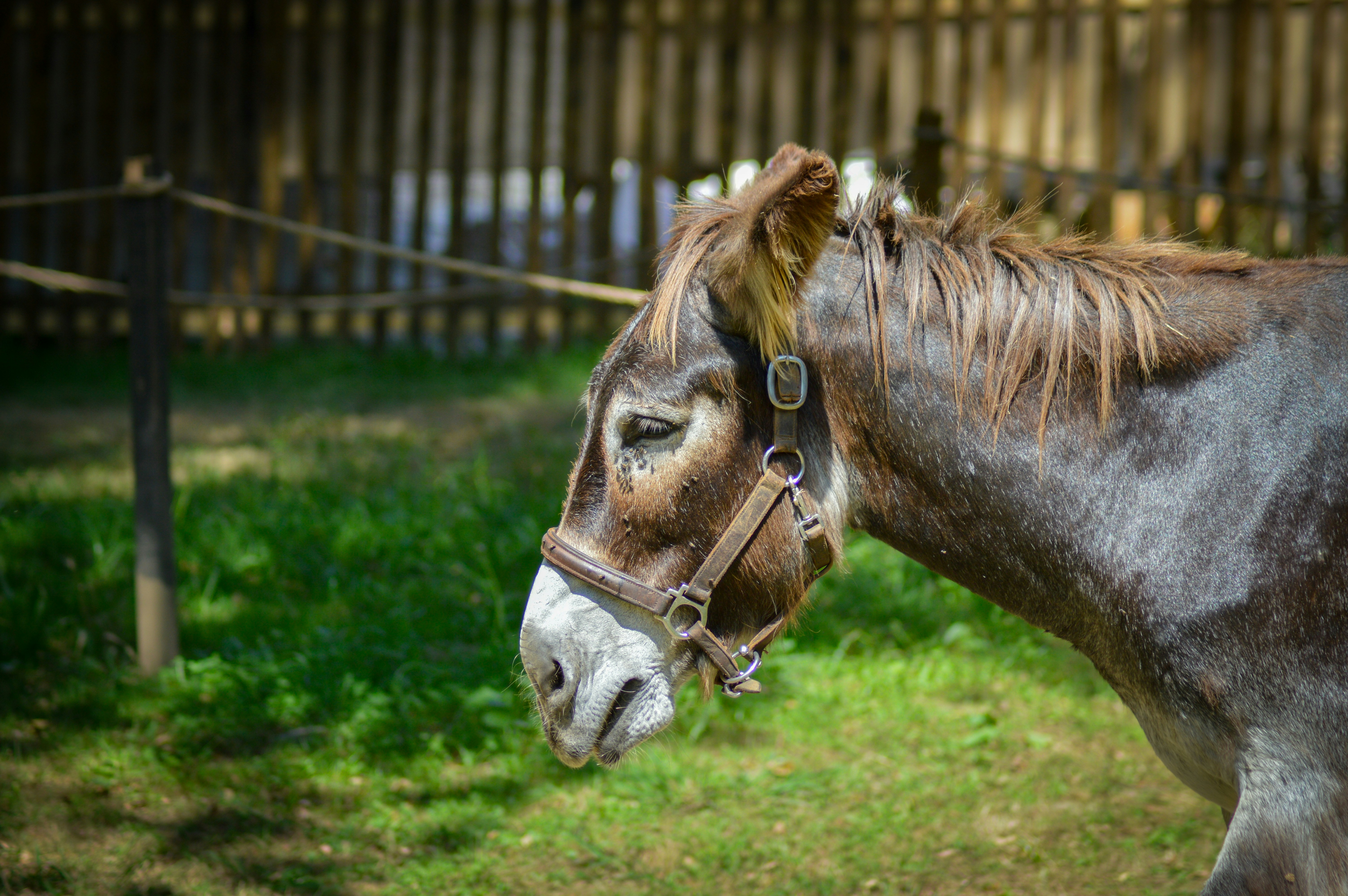 Photo by richardmultimedia