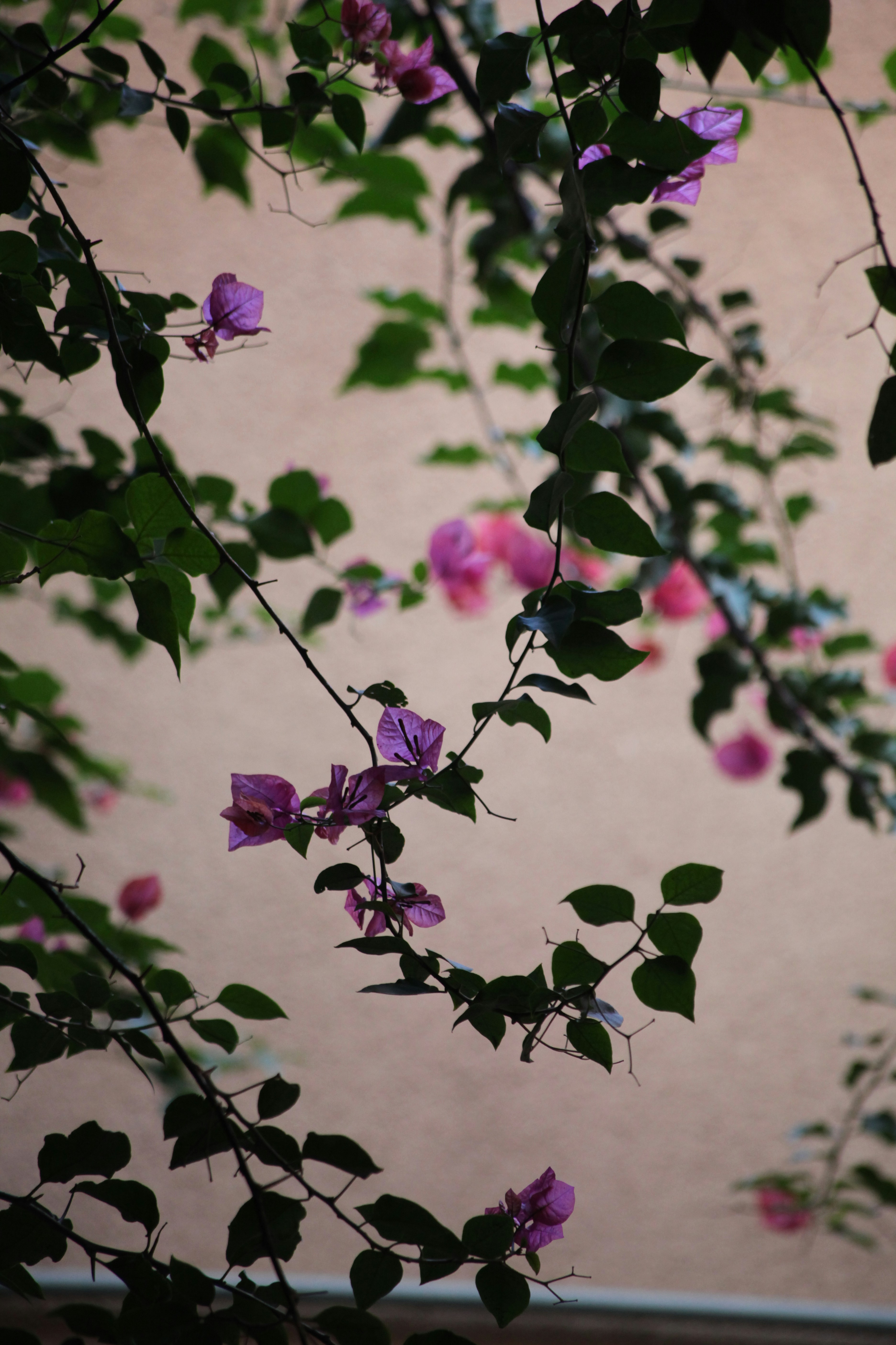 Photo by artist_mourad