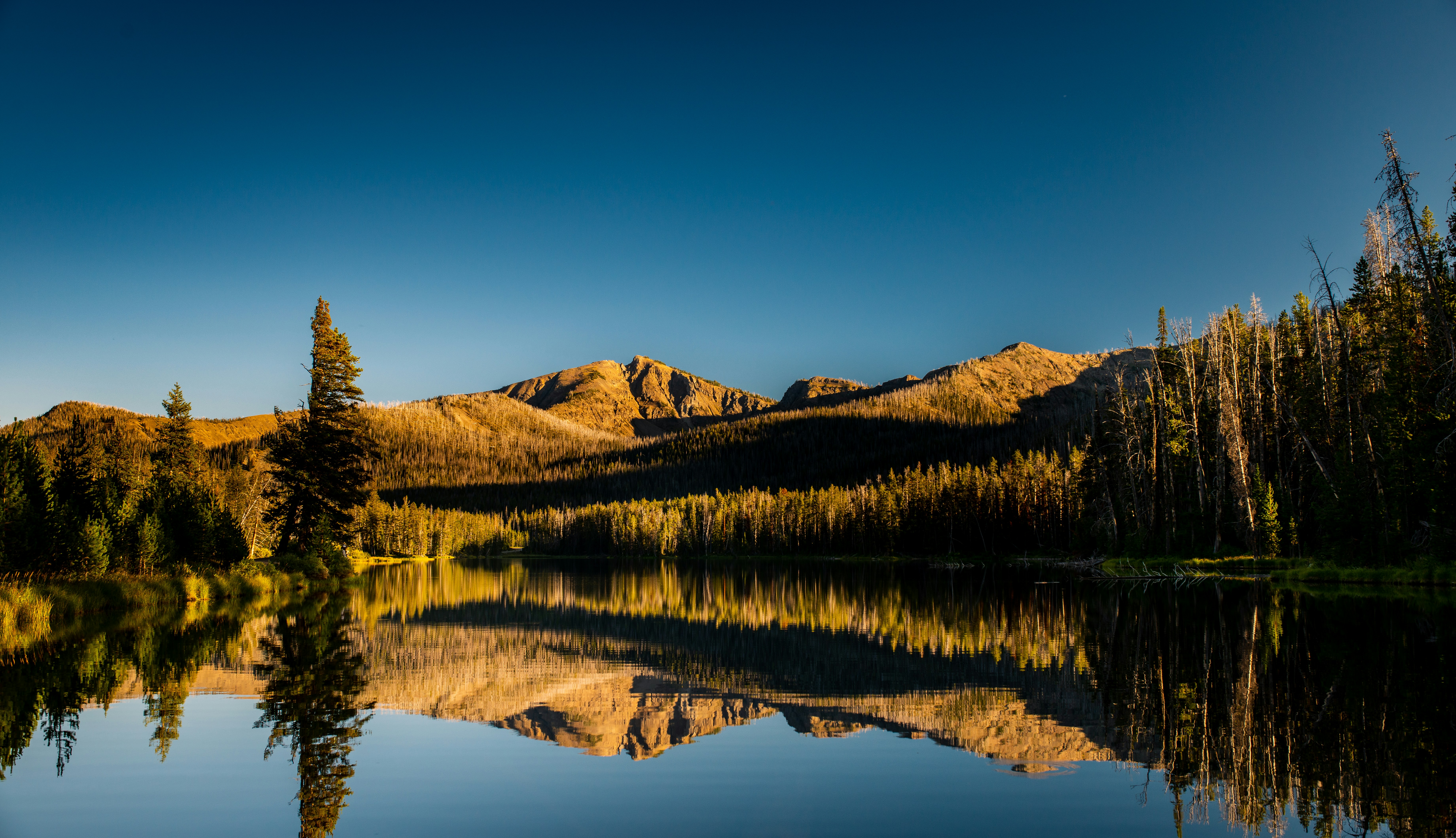Photo by syrenofisys