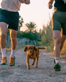 A couple of people that are running with a dog