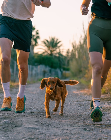 A couple of people that are running with a dog