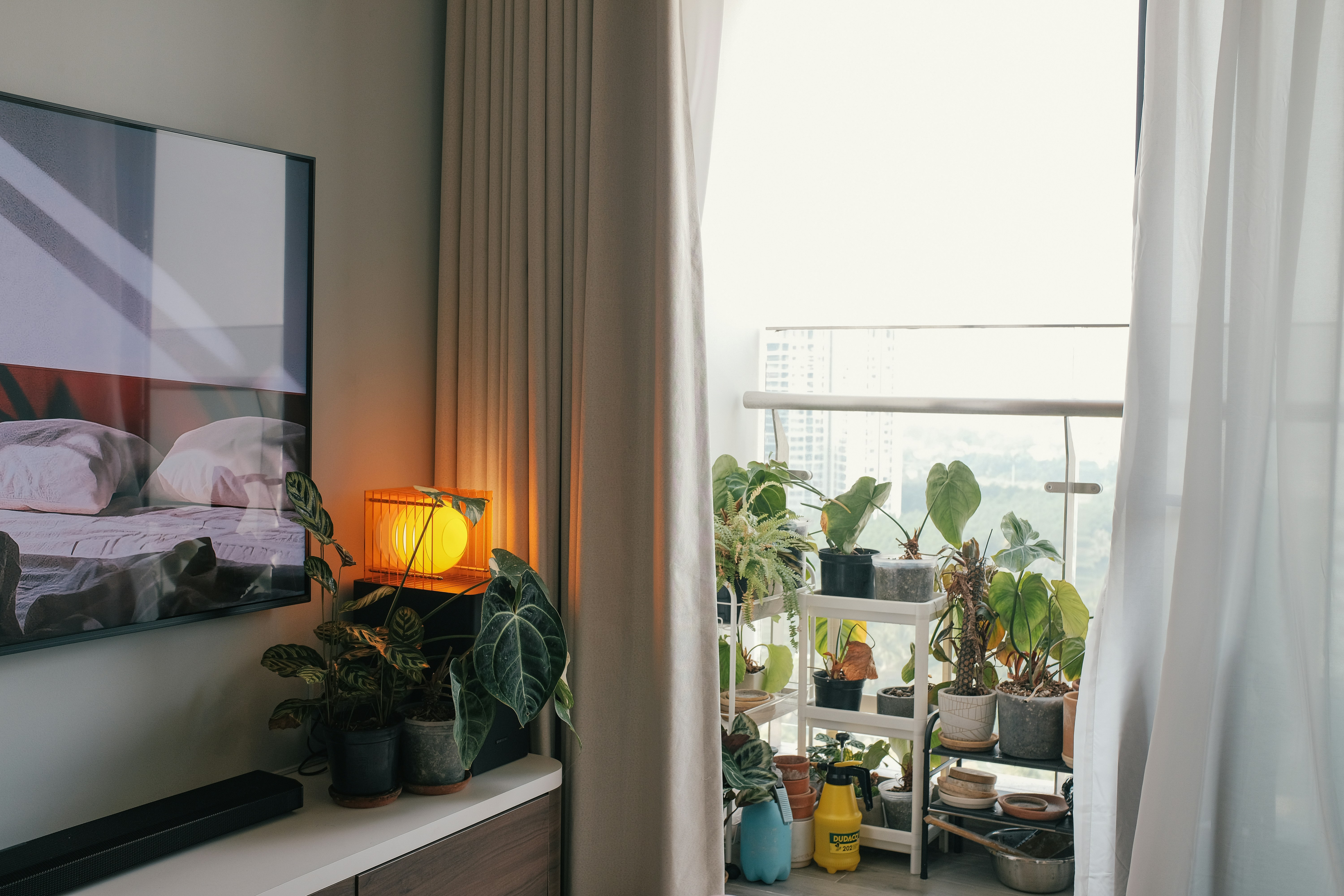A bright apartment living room with large windows, filled with a variety of healthy houseplants - apartments with outdoor space