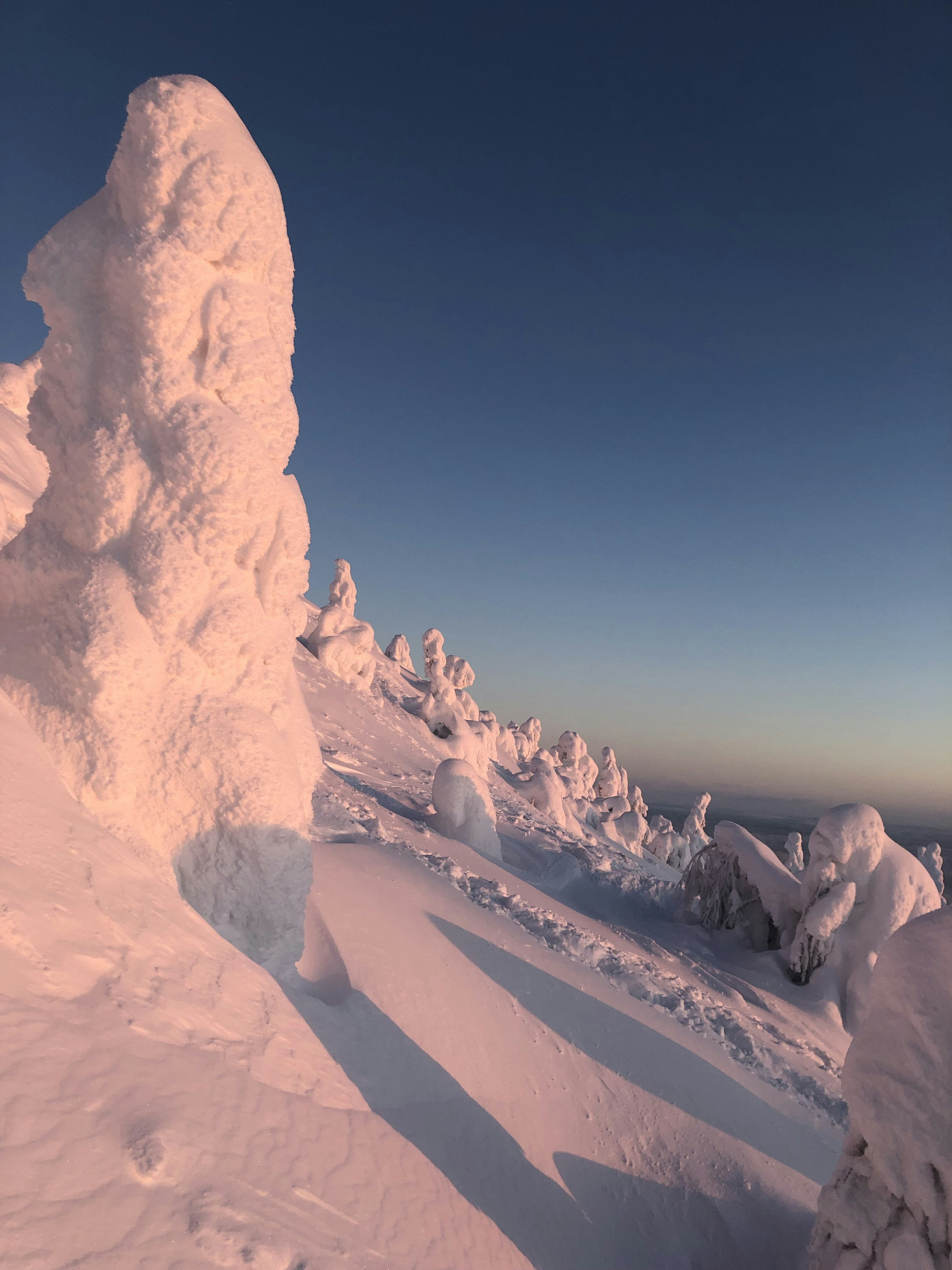 A snow covered mountain with a very tall tree