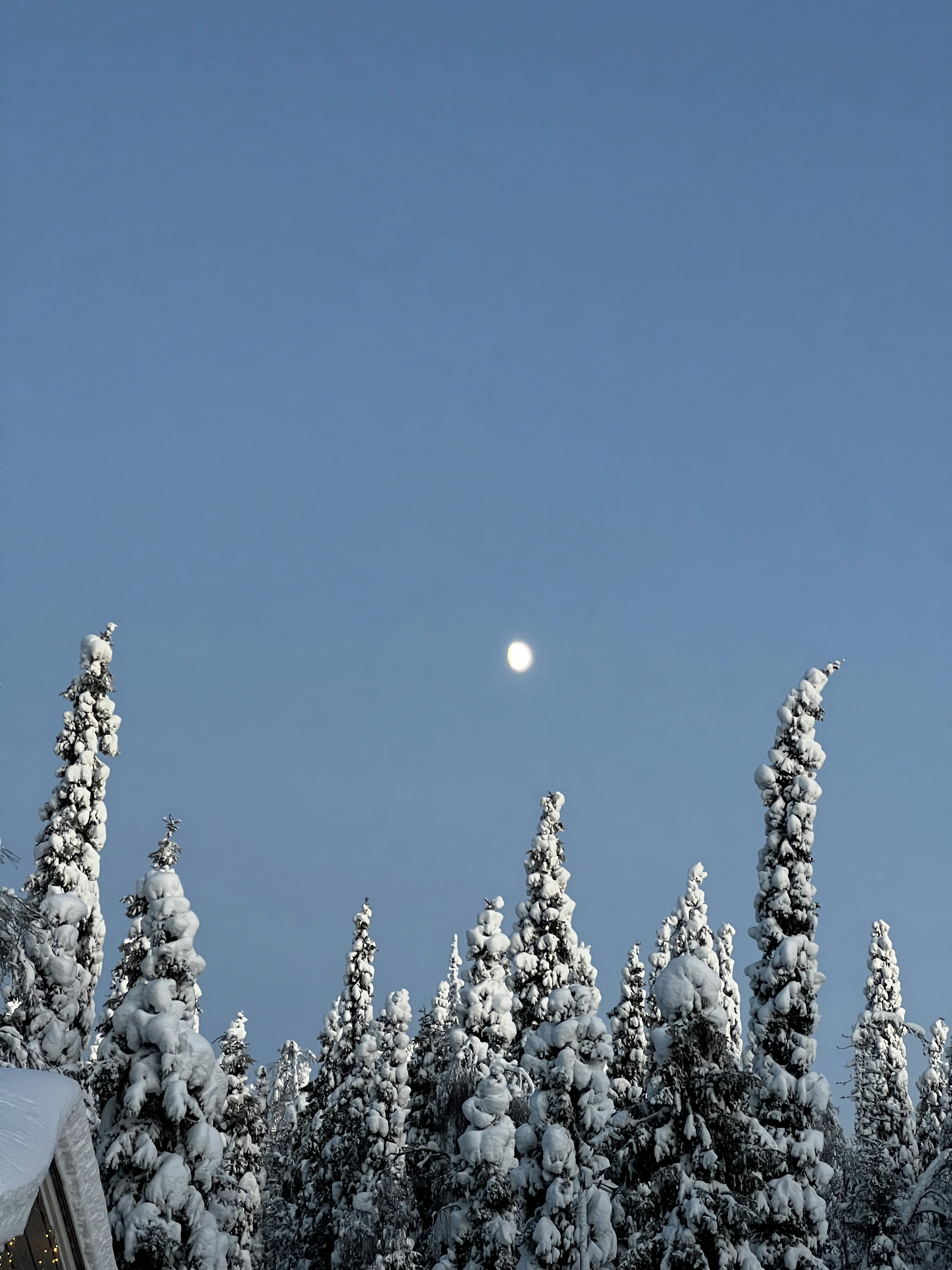 A snow covered forest with a full moon in the sky