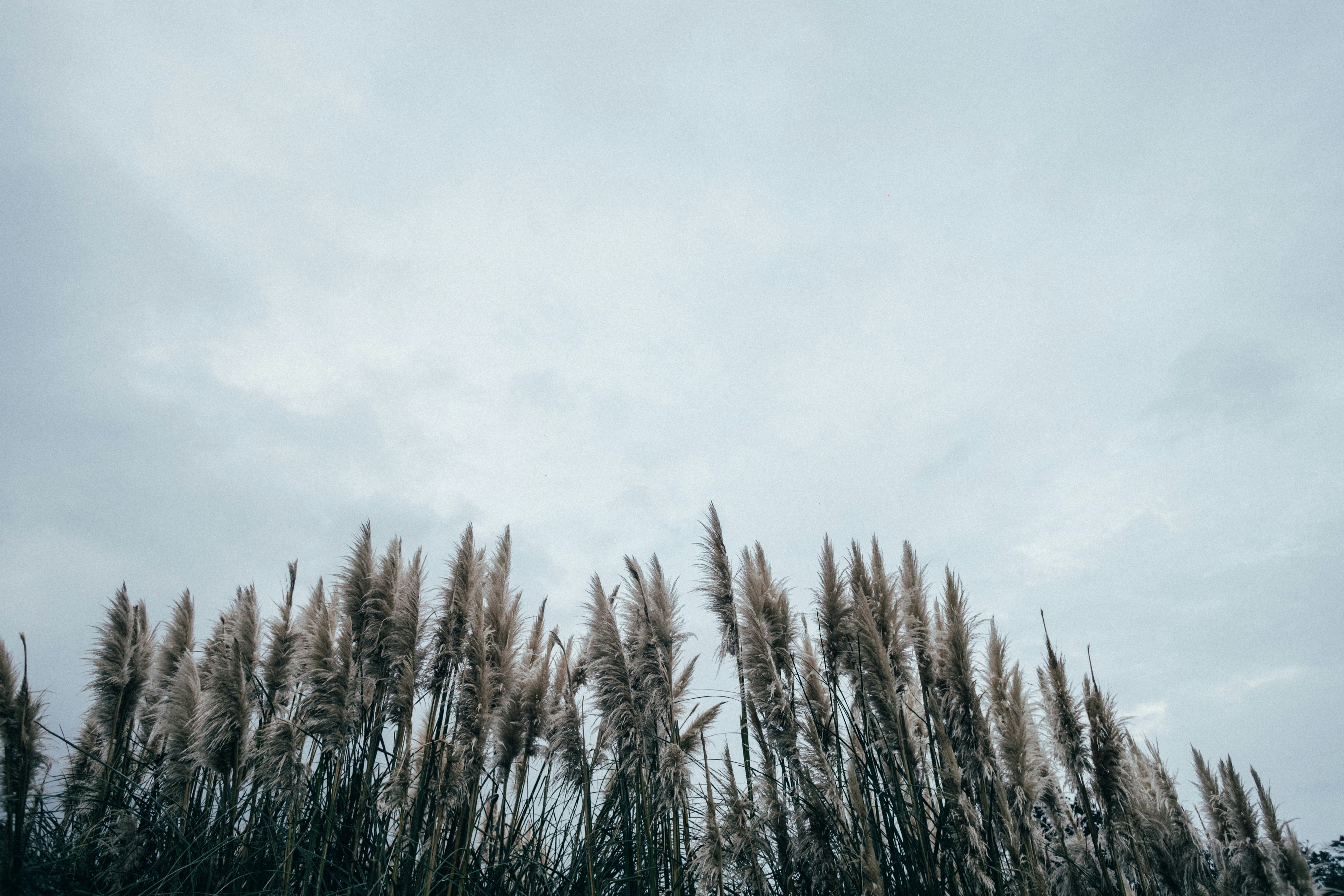 Photo by tsuyoshikozu