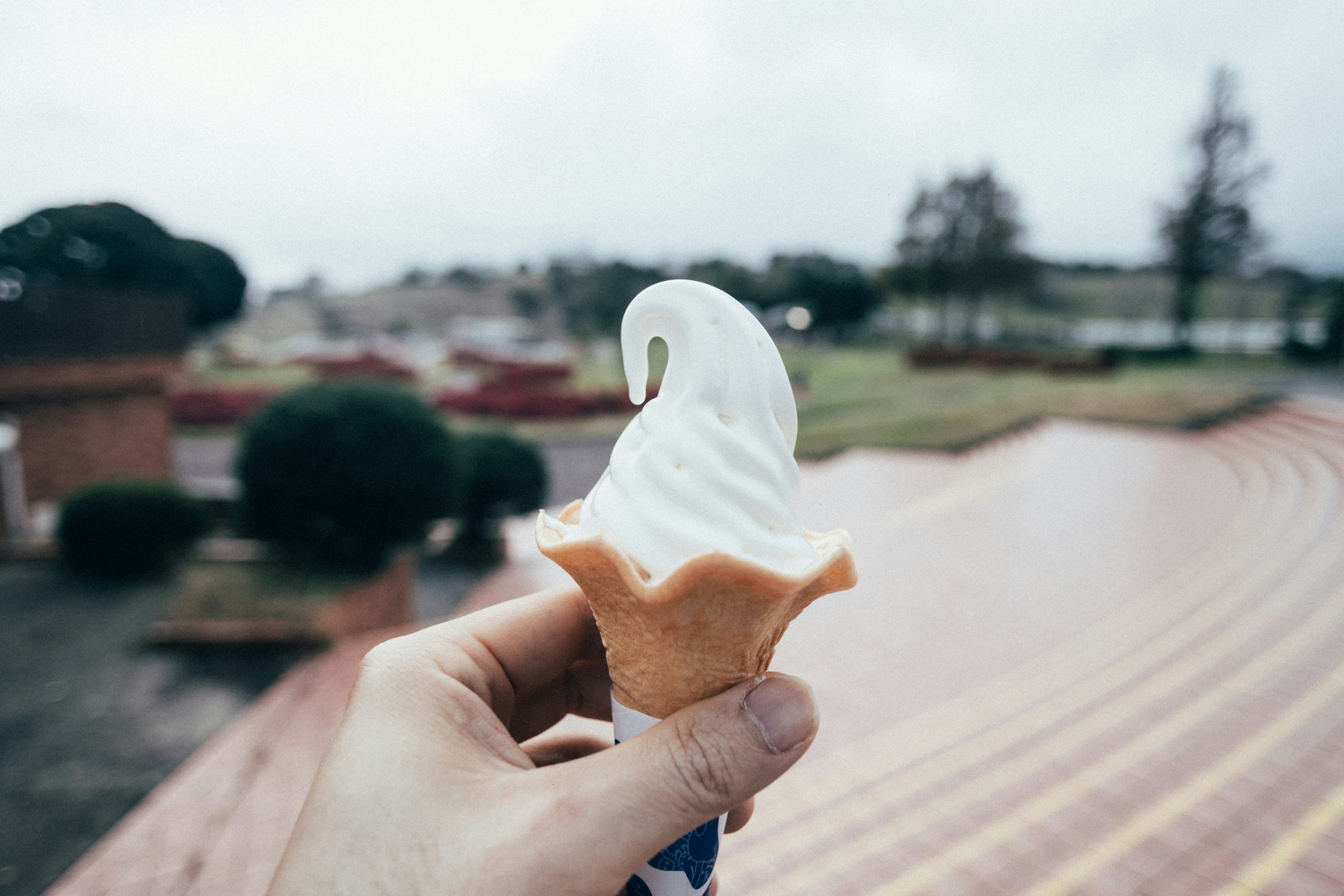 National Whipped Cream Day
