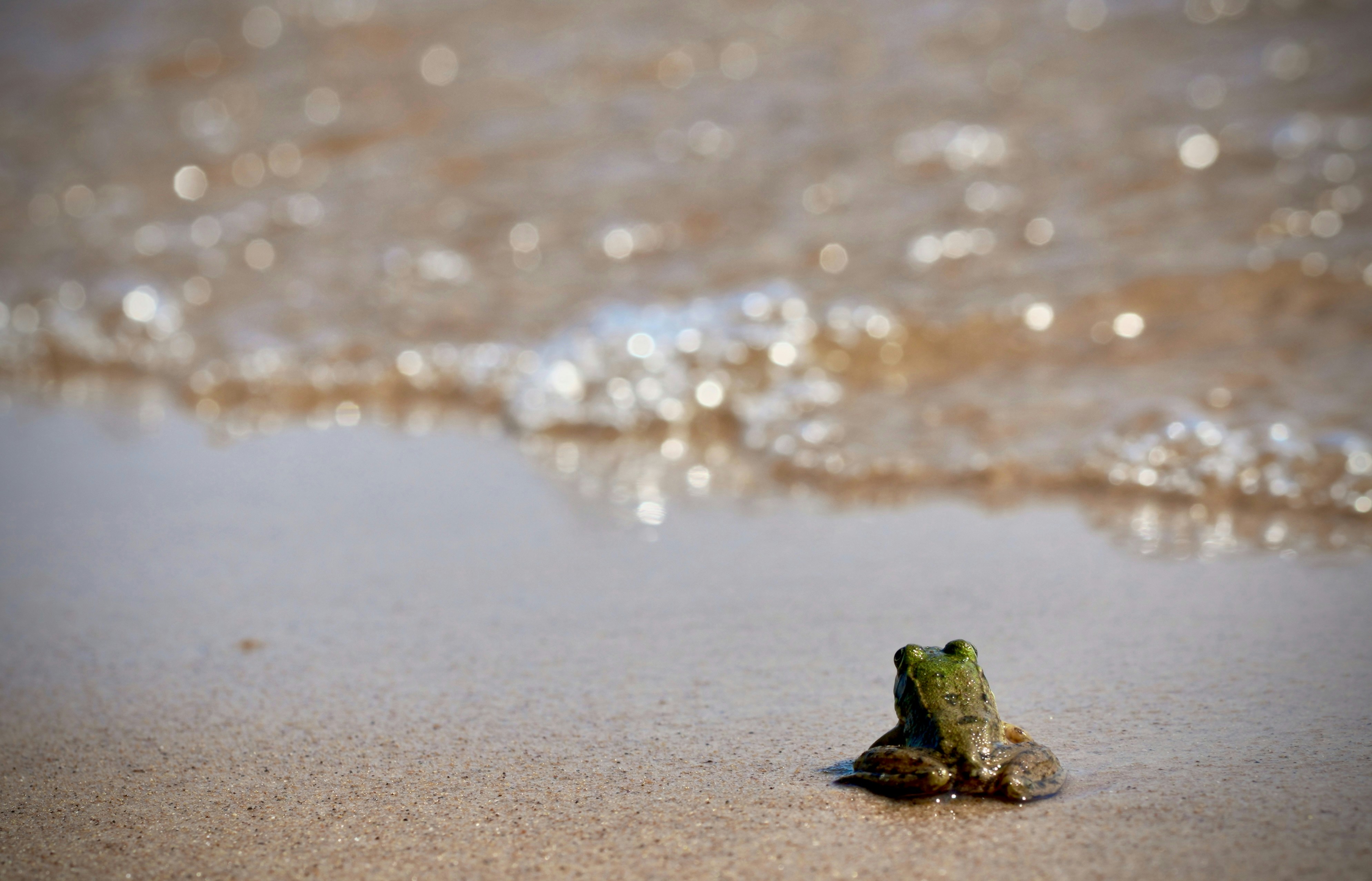 Photo by bugsandslugs