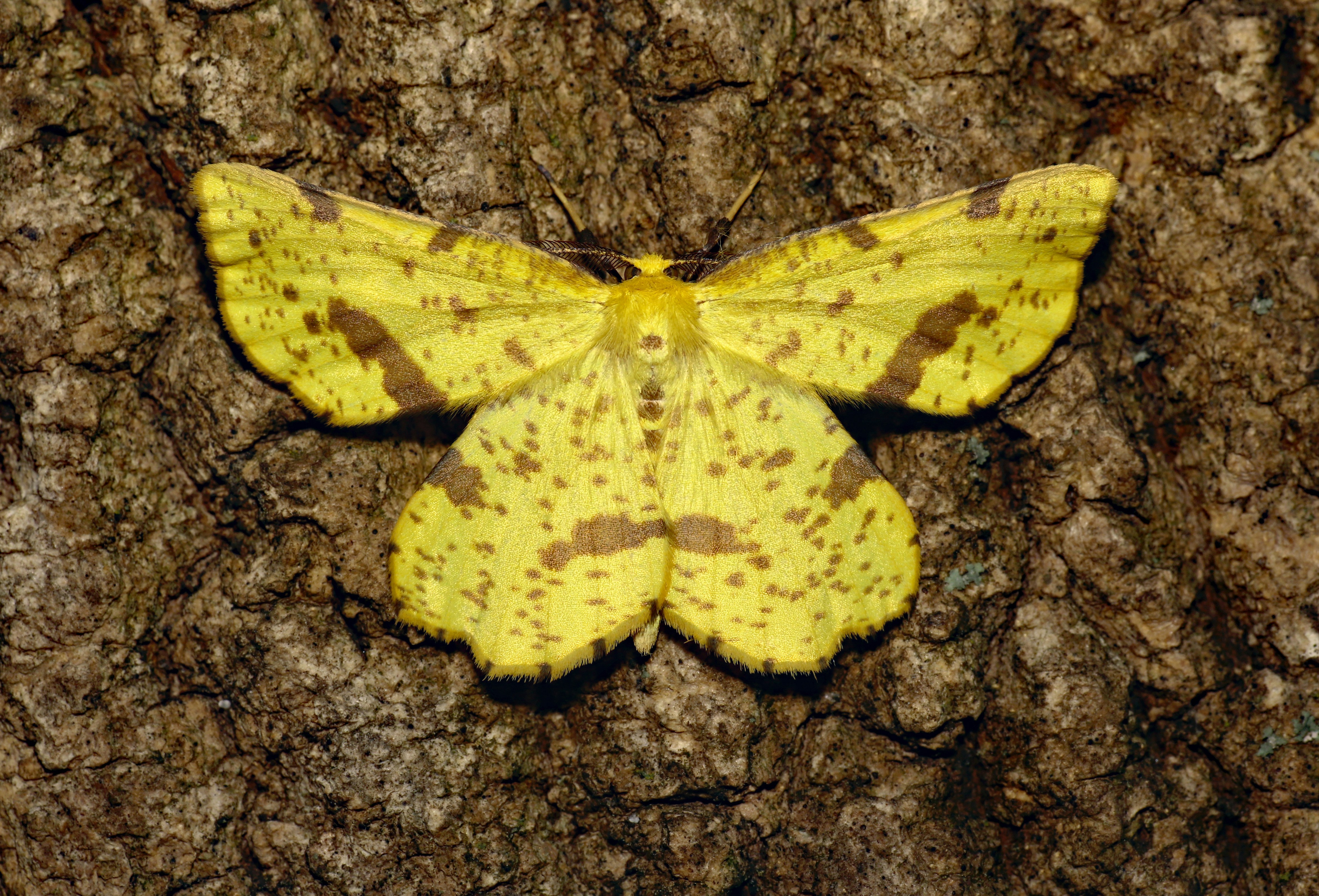 Photo by telliottmbamsc