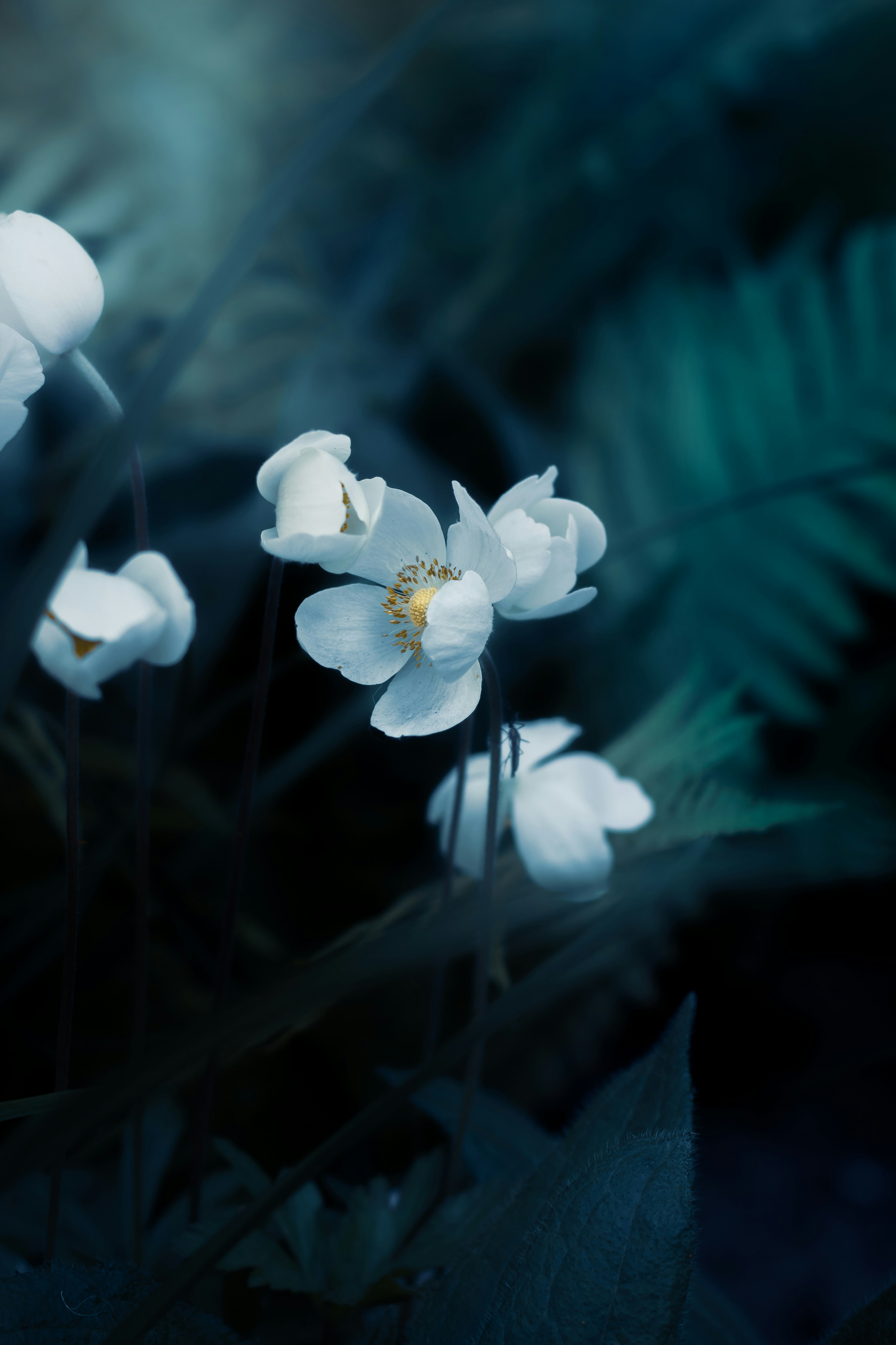 Photo by mineral_of_demon