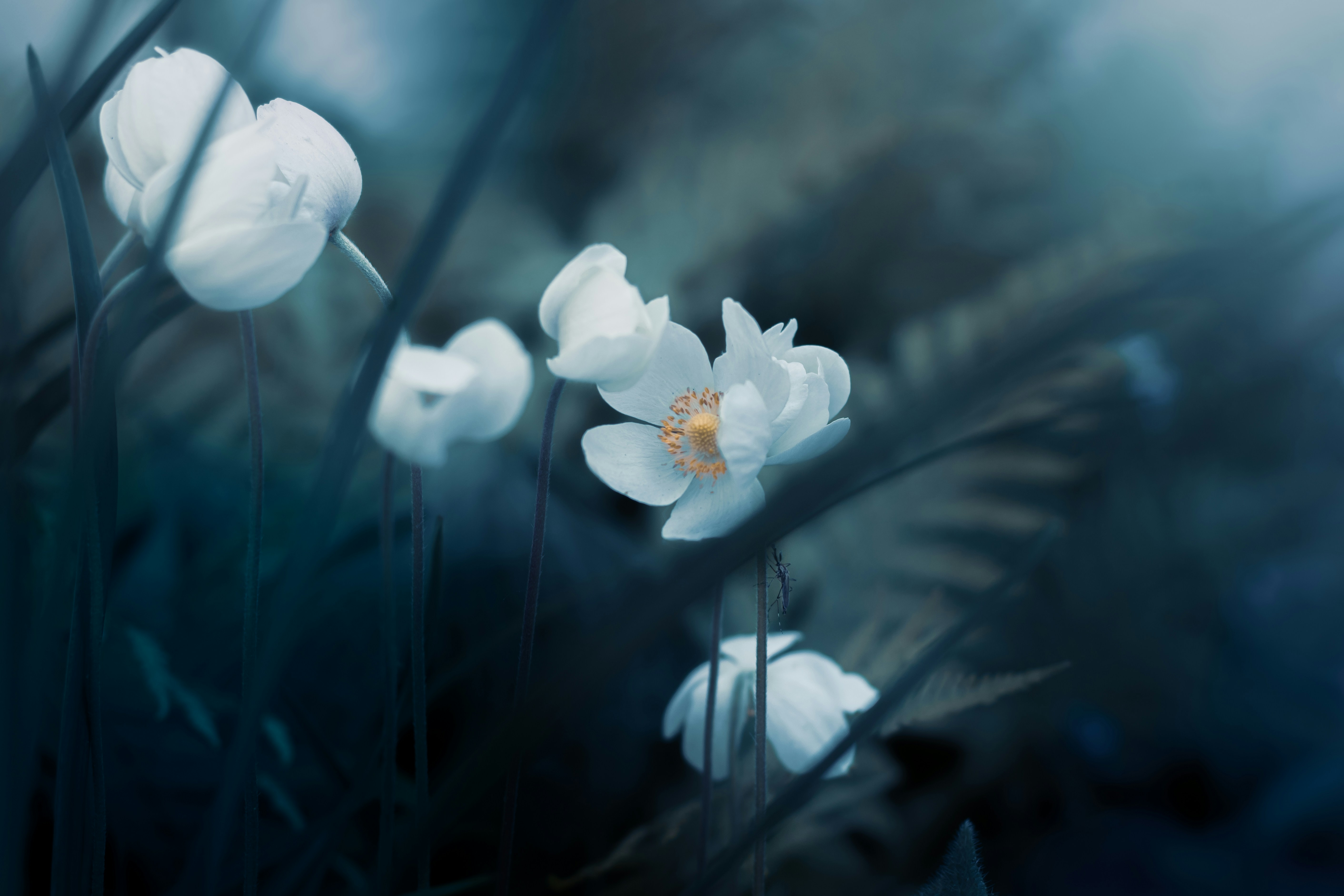 Photo by mineral_of_demon