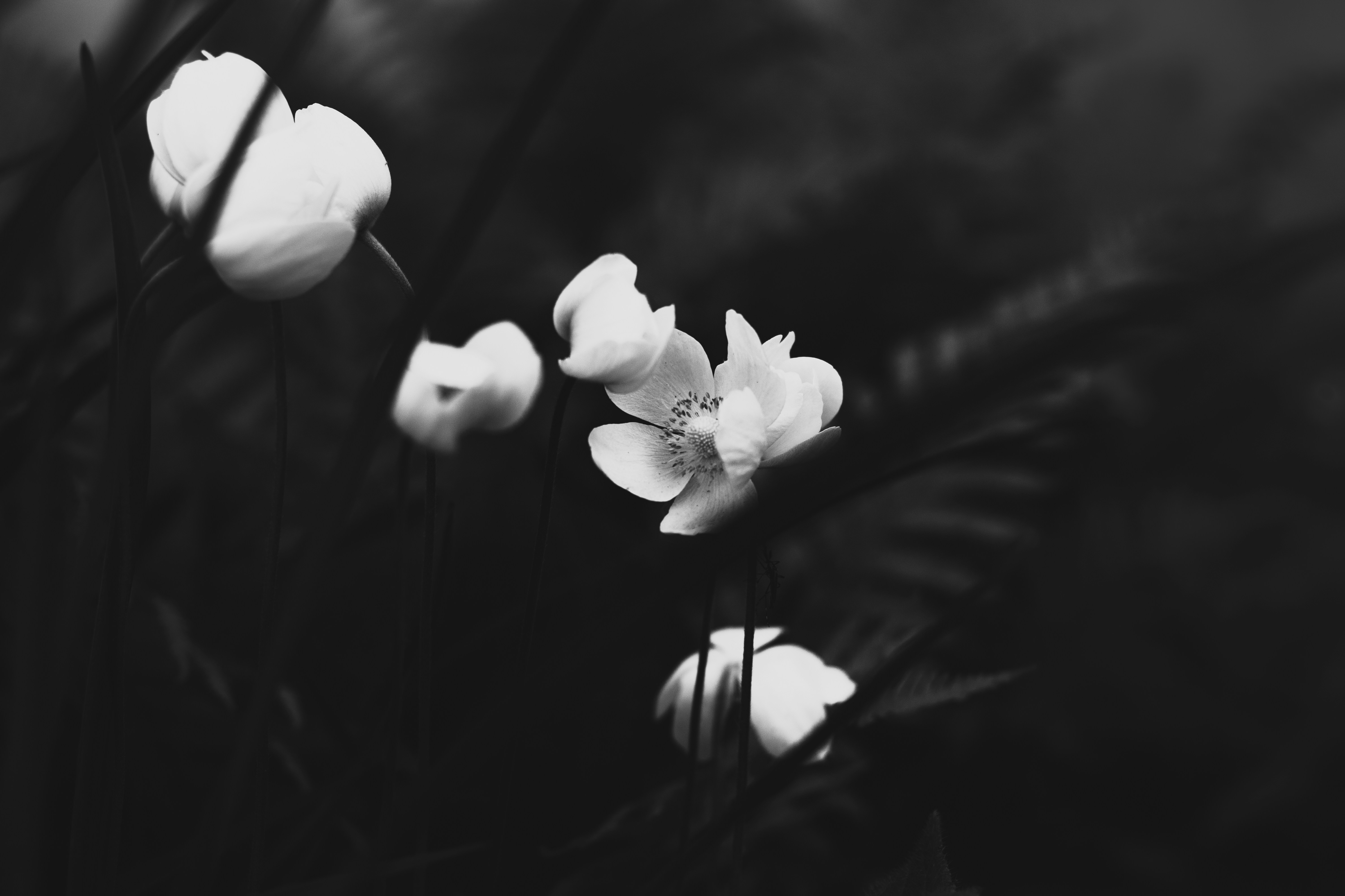 Photo by mineral_of_demon