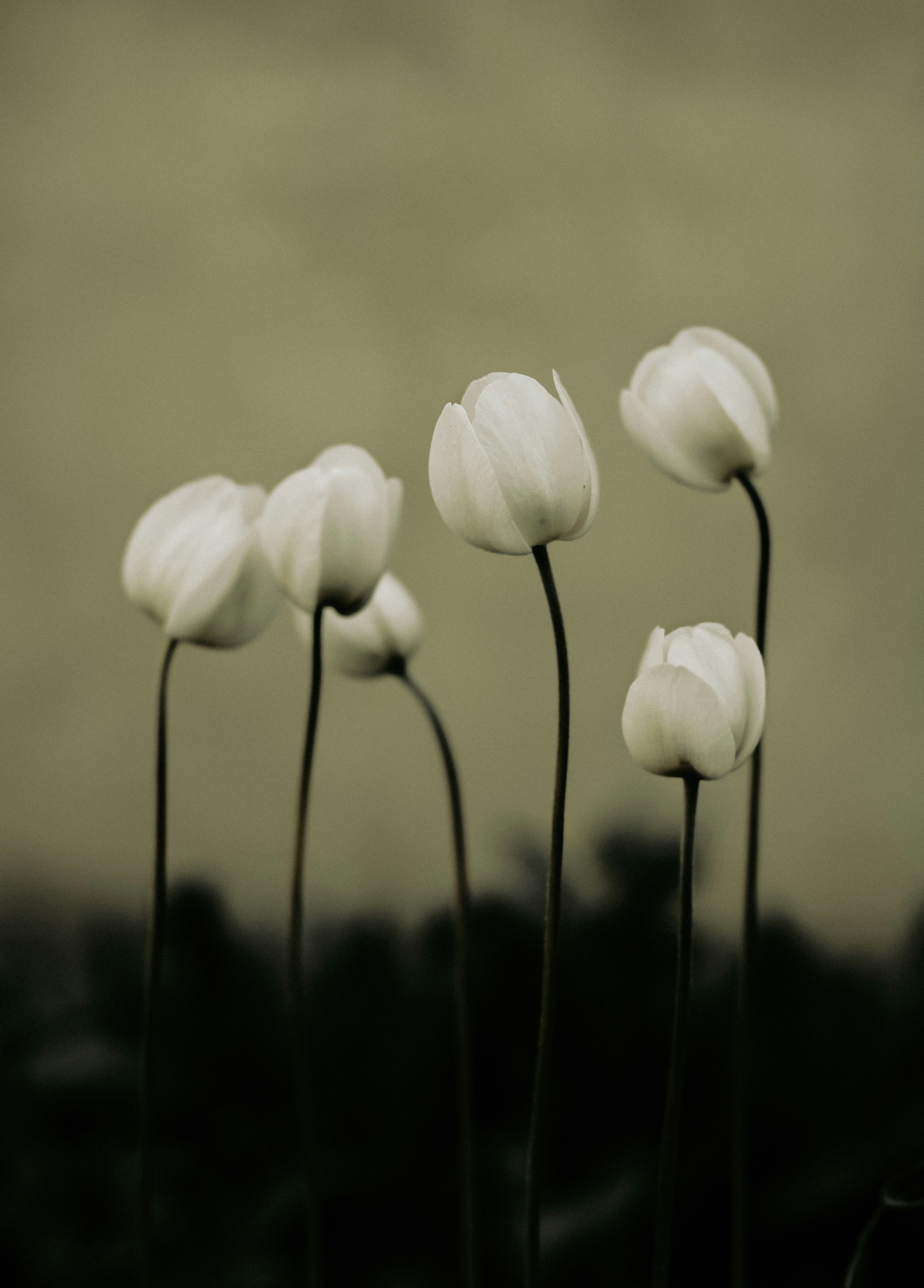 Photo by mineral_of_demon