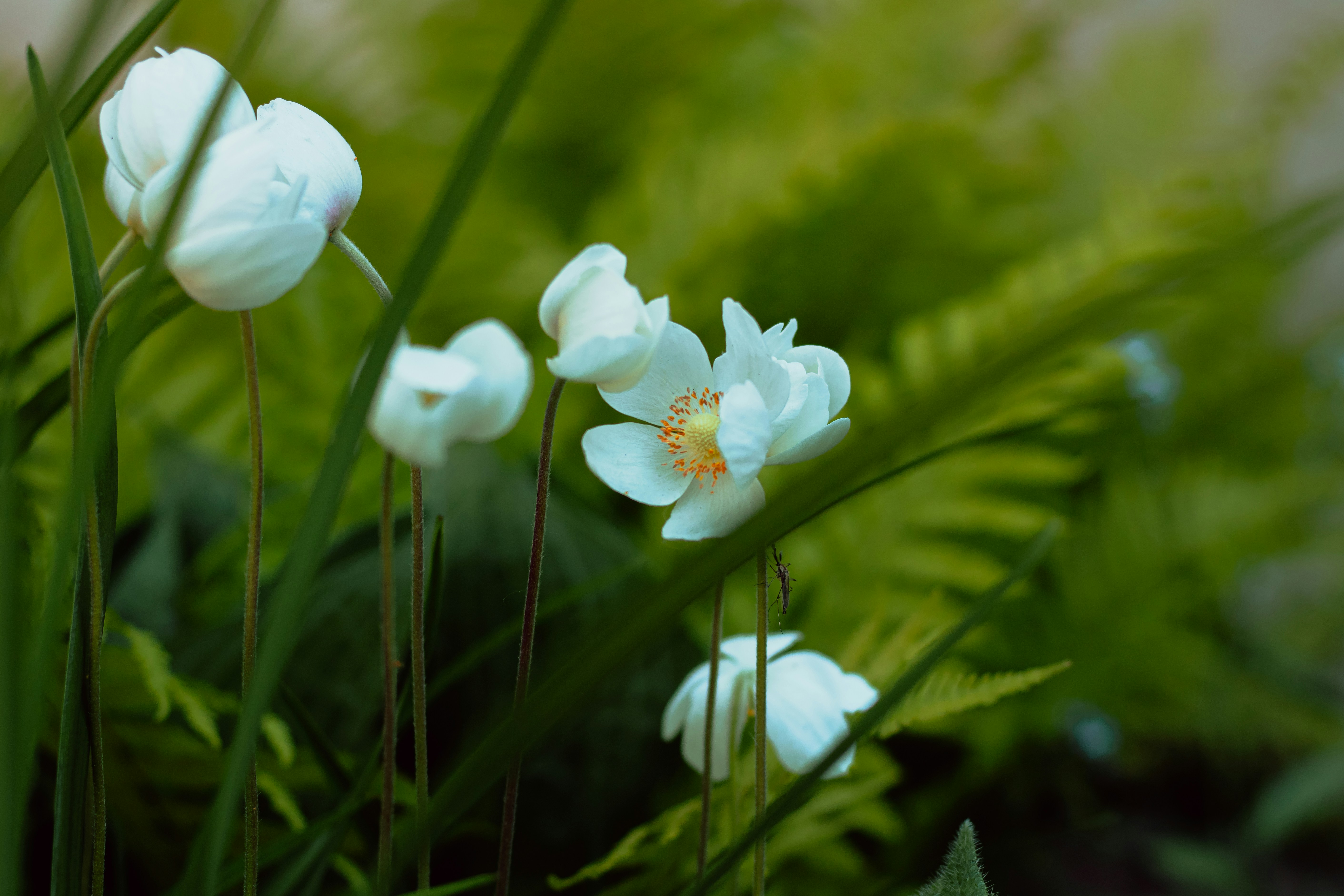 Photo by mineral_of_demon